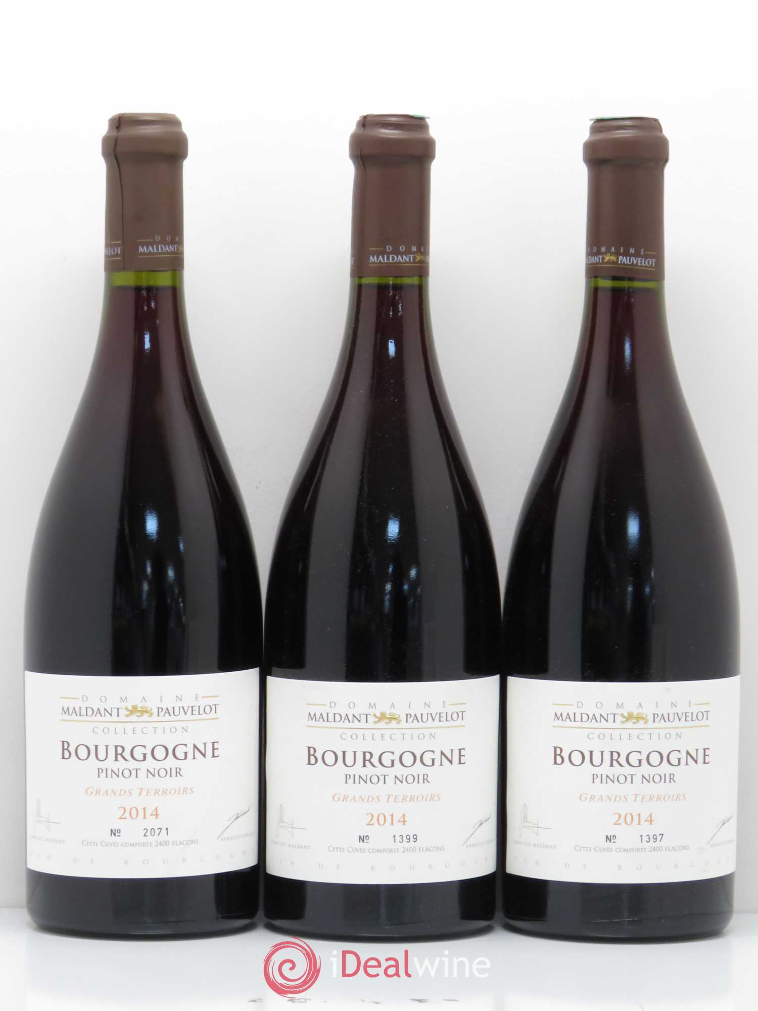 Bourgogne Pinot Noir Grands Terroirs Domaine Maldant Pauvelot 2014 - Posten von 3 Flaschen - 0