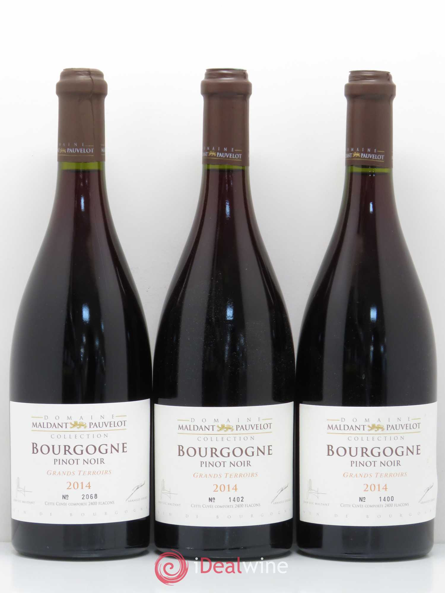 Bourgogne Pinot Noir Grands Terroirs Domaine Maldant Pauvelot 2014 - Posten von 6 Flaschen - 1