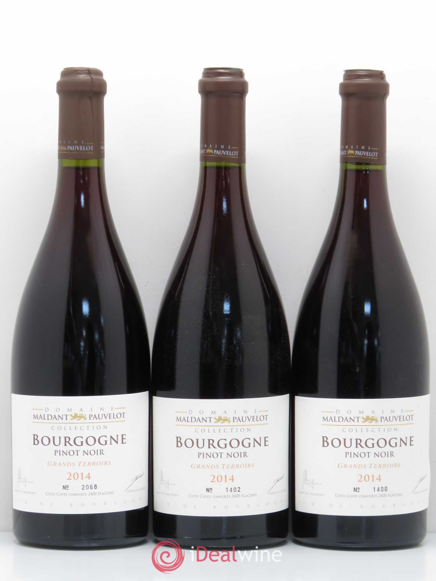 Bourgogne Pinot Noir Grands Terroirs Domaine Maldant Pauvelot 2014 - Posten von 6 Flaschen - 2