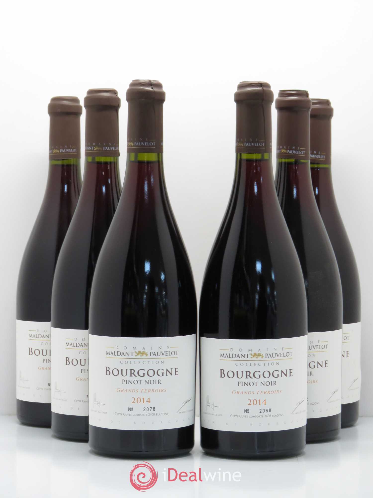 Bourgogne Pinot Noir Grands Terroirs Domaine Maldant Pauvelot 2014 - Posten von 6 Flaschen - 0