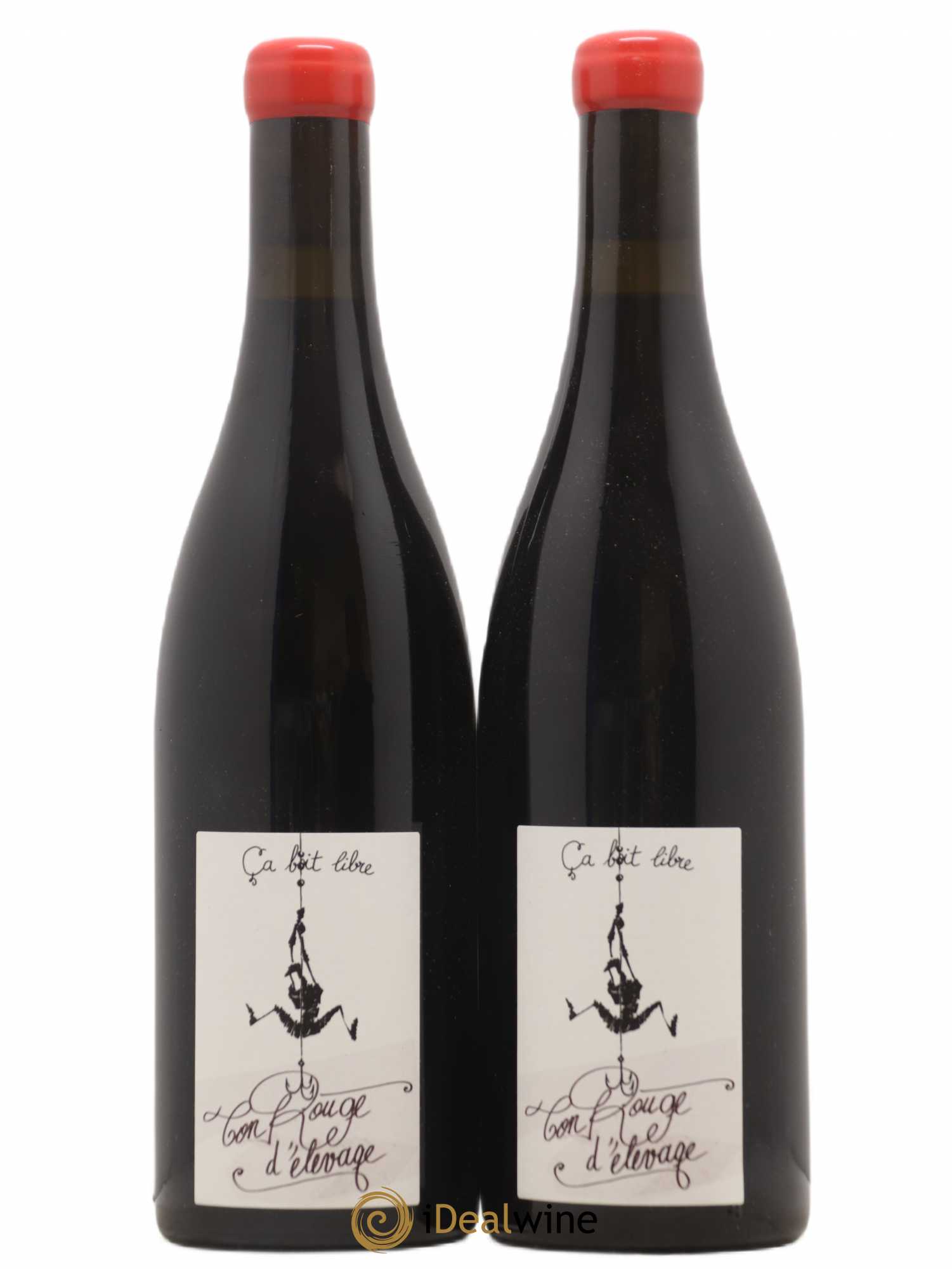 Vin de Savoie Ton Rouge d'Elevage Domaine Ca Boit Libre 2020 - Lot de 2 bouteilles - 0