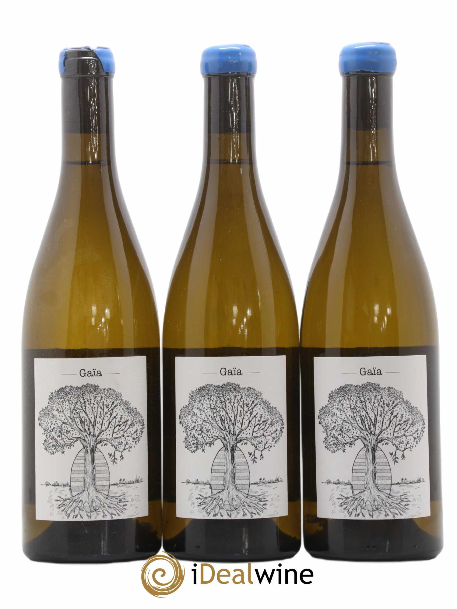 Muscadet-Sèvre-et-Maine Gaia Jérôme Bretaudeau - Domaine de Bellevue (sans prix de réserve) 2018 - Lot de 3 bouteilles - 0