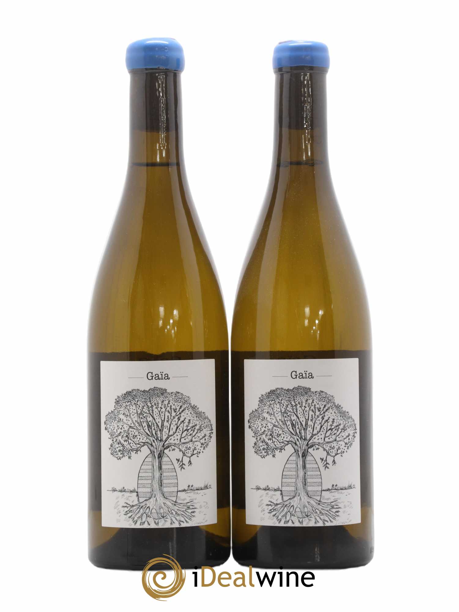 Muscadet-Sèvre-et-Maine Gaia Jérôme Bretaudeau - Domaine de Bellevue 2018 - Lot de 2 bouteilles - 0