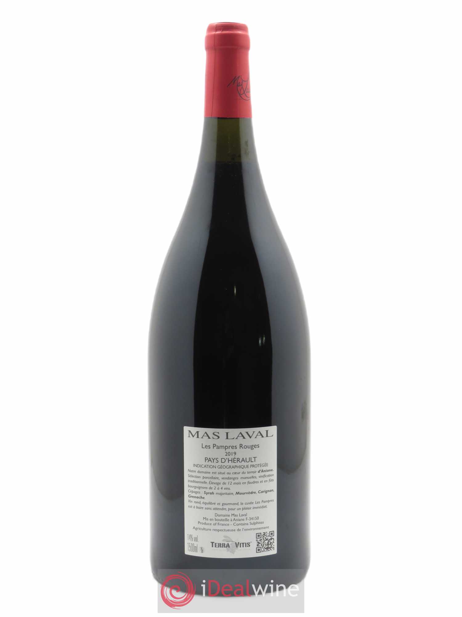 IGP Pays d'Hérault Mas Laval  Les Pampres Joël Laval 2019 - Lot de 1 magnum - 1