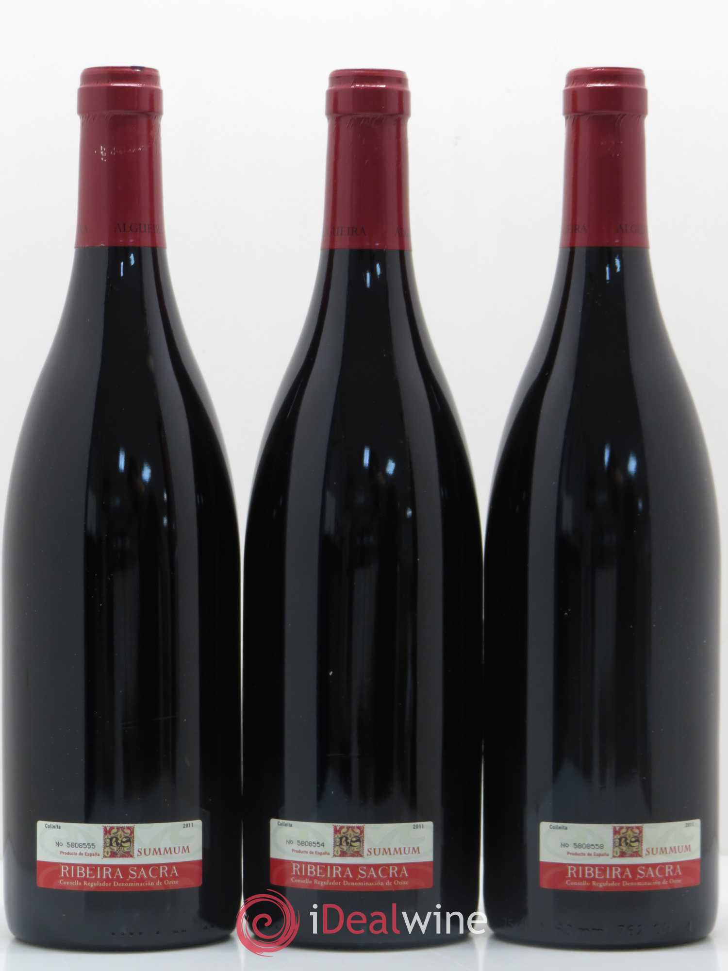 Espagne Algueira Pizarra Rebeira Sacra 2011 - Posten von 3 Flaschen - 1
