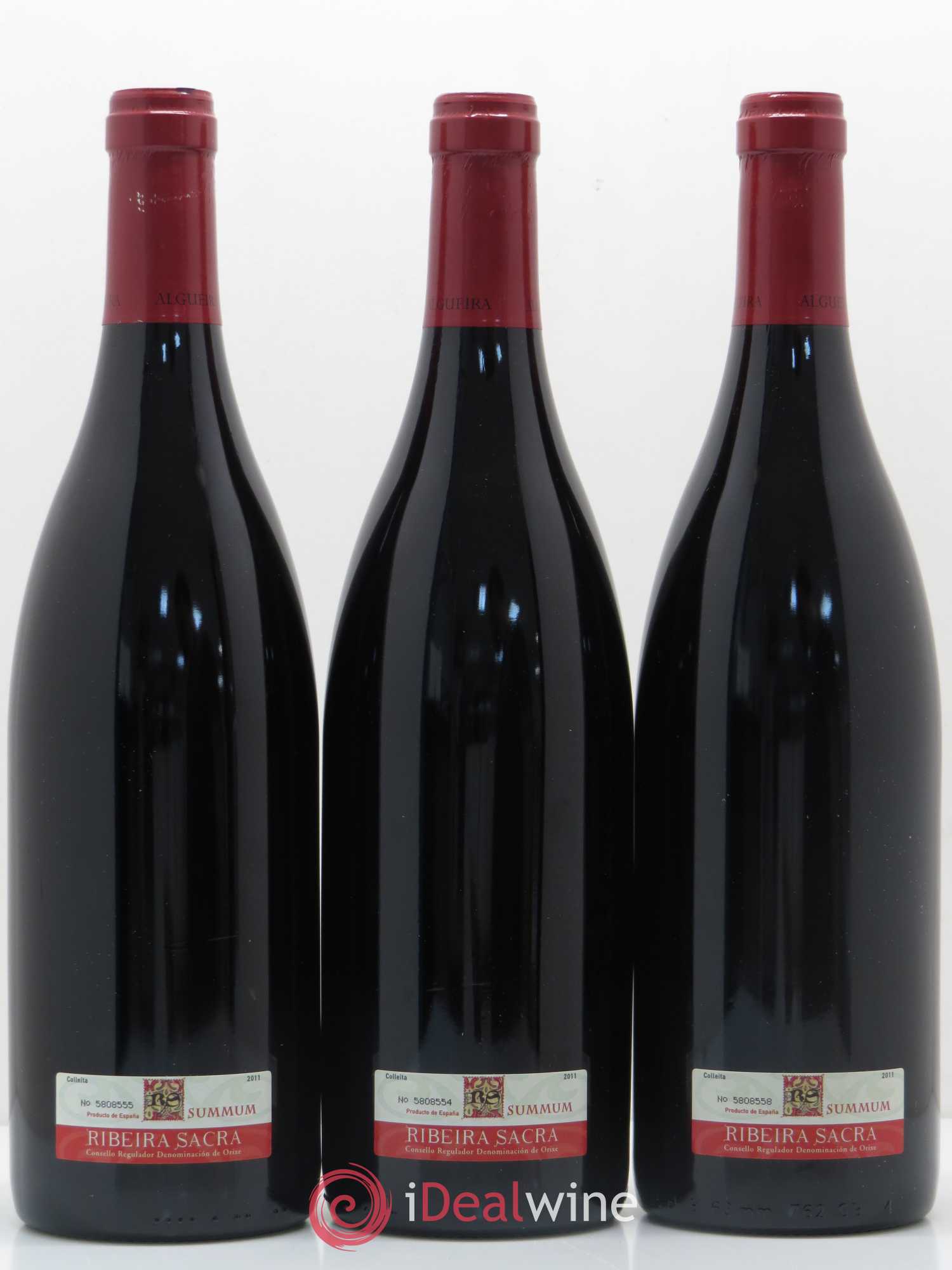 Espagne Algueira Pizarra Rebeira Sacra 2011 - Posten von 3 Flaschen - 1