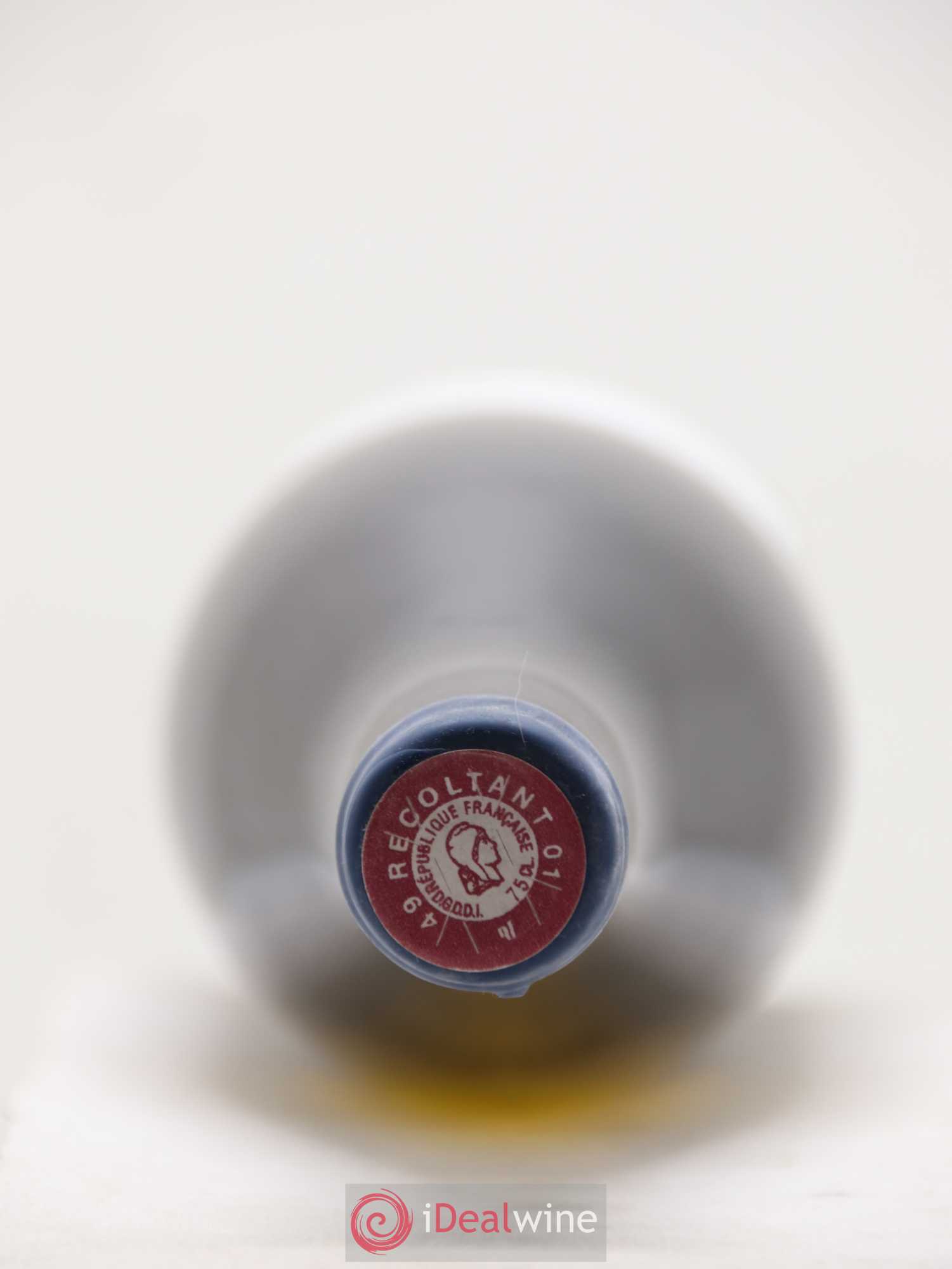 Vin de France Les Nourrissons Stéphane Bernaudeau 2019 - Lot de 1 bouteille - 1