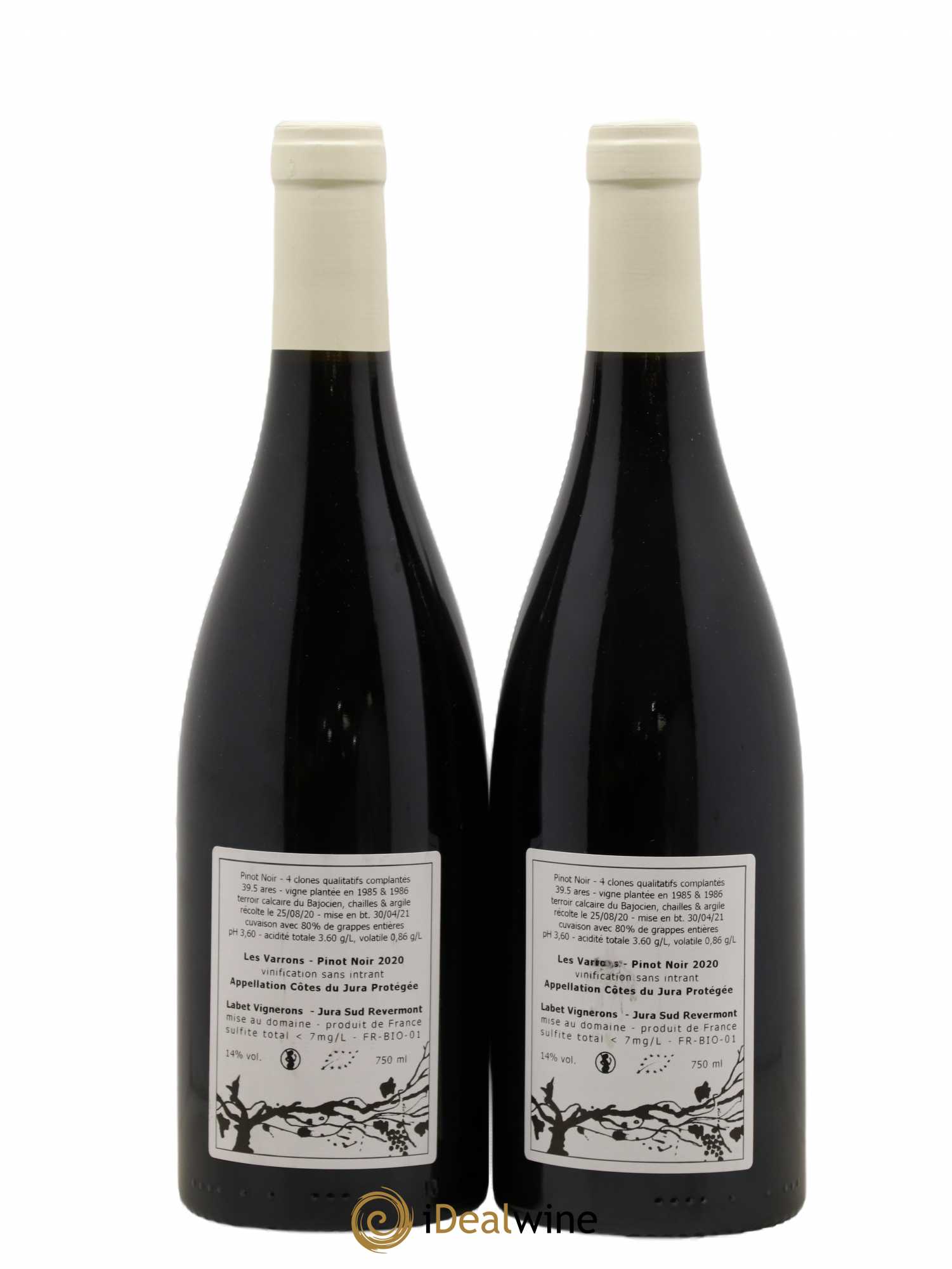 Côtes du Jura Pinot Noir Les Varrons Sélection Massale Romain - Julien - Charline Labet 2020 - Lot de 2 bouteilles - 1