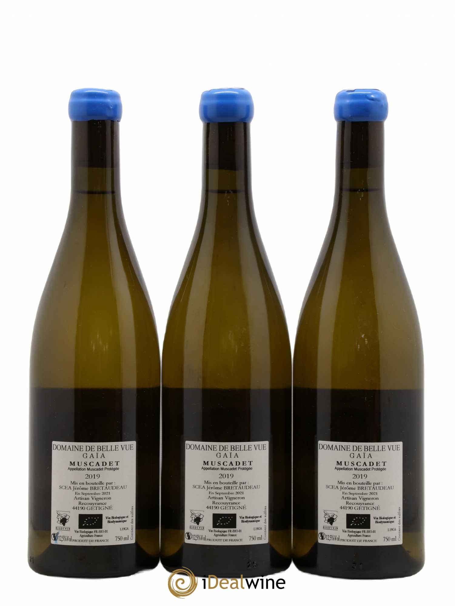 Muscadet-Sèvre-et-Maine Gaia Jérôme Bretaudeau - Domaine de Bellevue 2019 - Lot de 3 bouteilles - 1