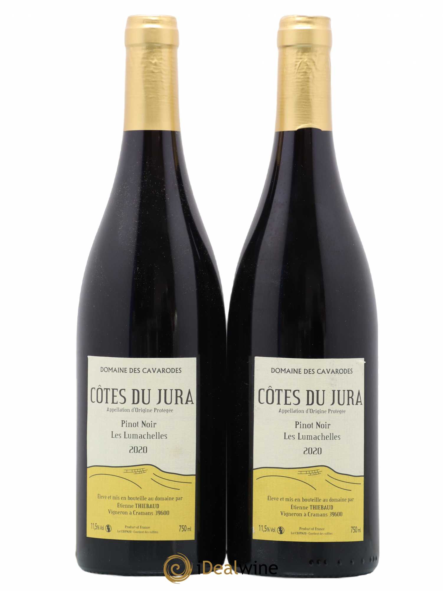 Côtes du Jura Pinot Noir Les Lumachelles Cavarodes (Domaine des) - Etienne Thiébaud 2020 - Lot de 2 bouteilles - 0