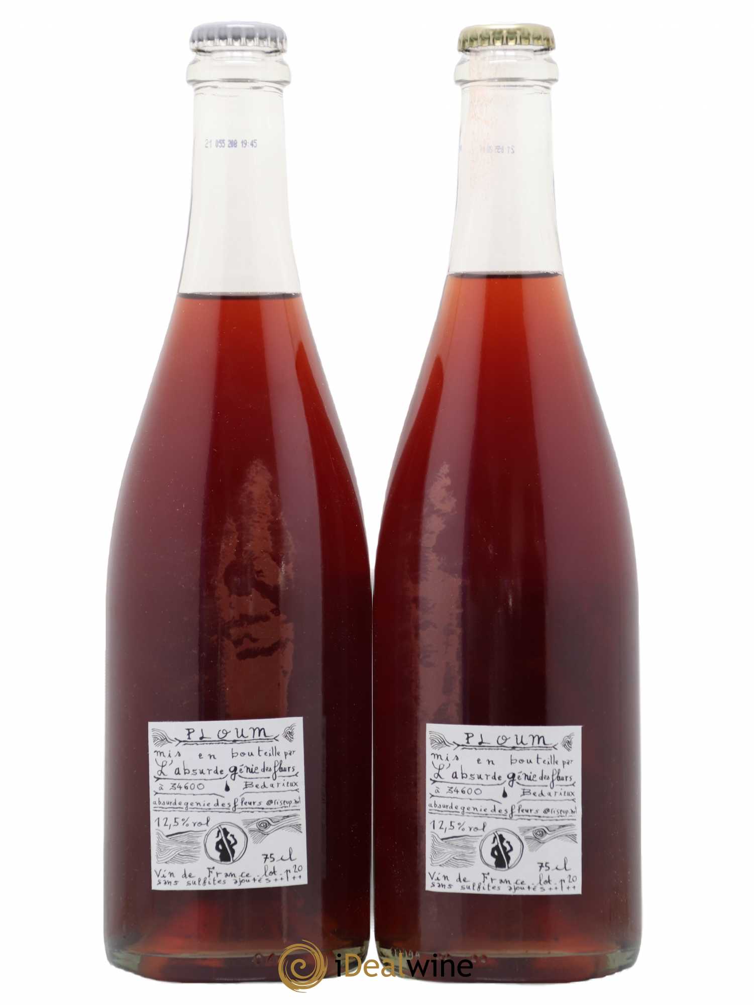 Vin de France Ploum L'absurde génie des Fleurs 2020 - Posten von 2 Flaschen - 1