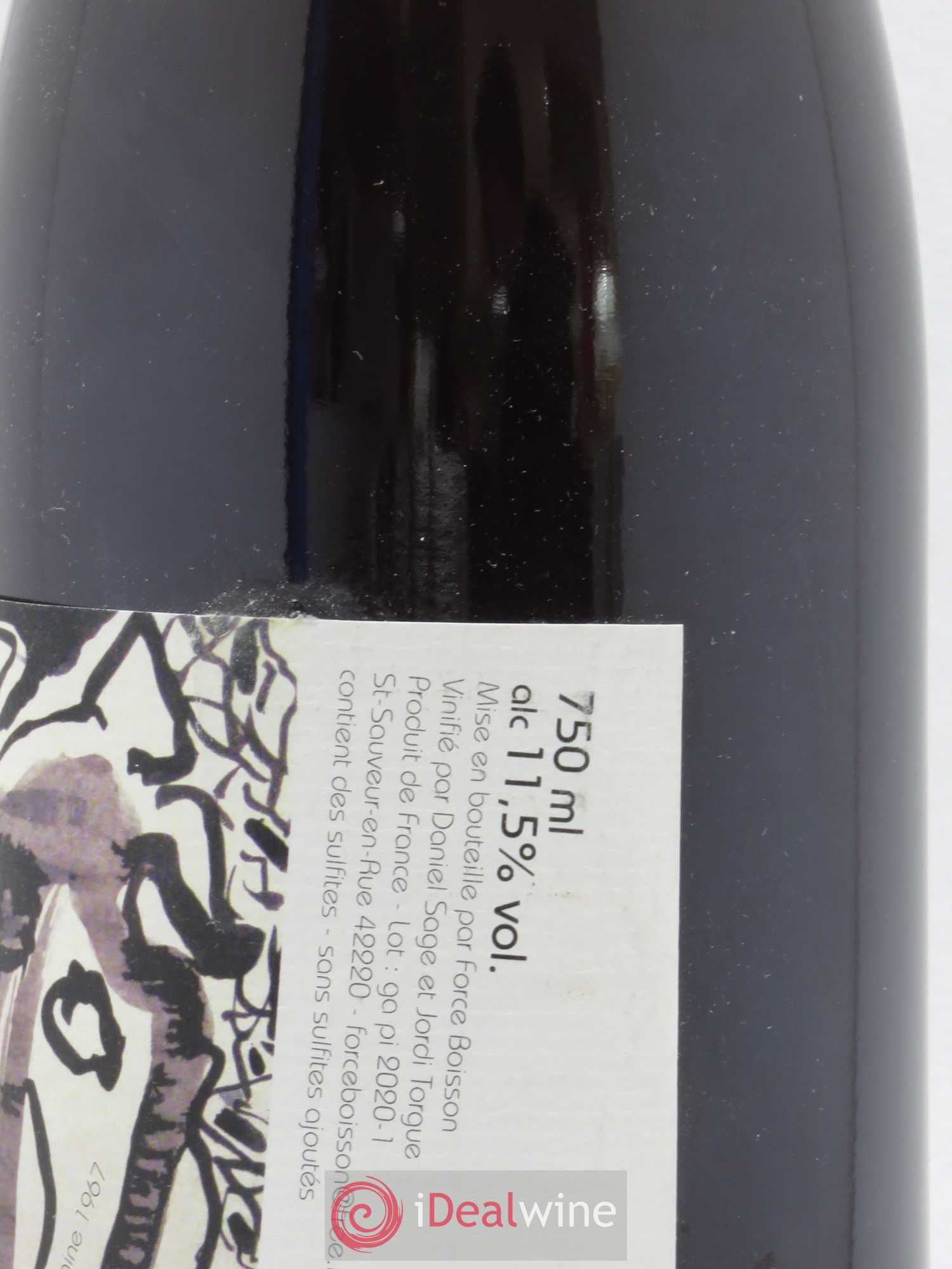 Vin de France Nyctalopie Daniel Sage 2019 - Lot de 1 bouteille - 1