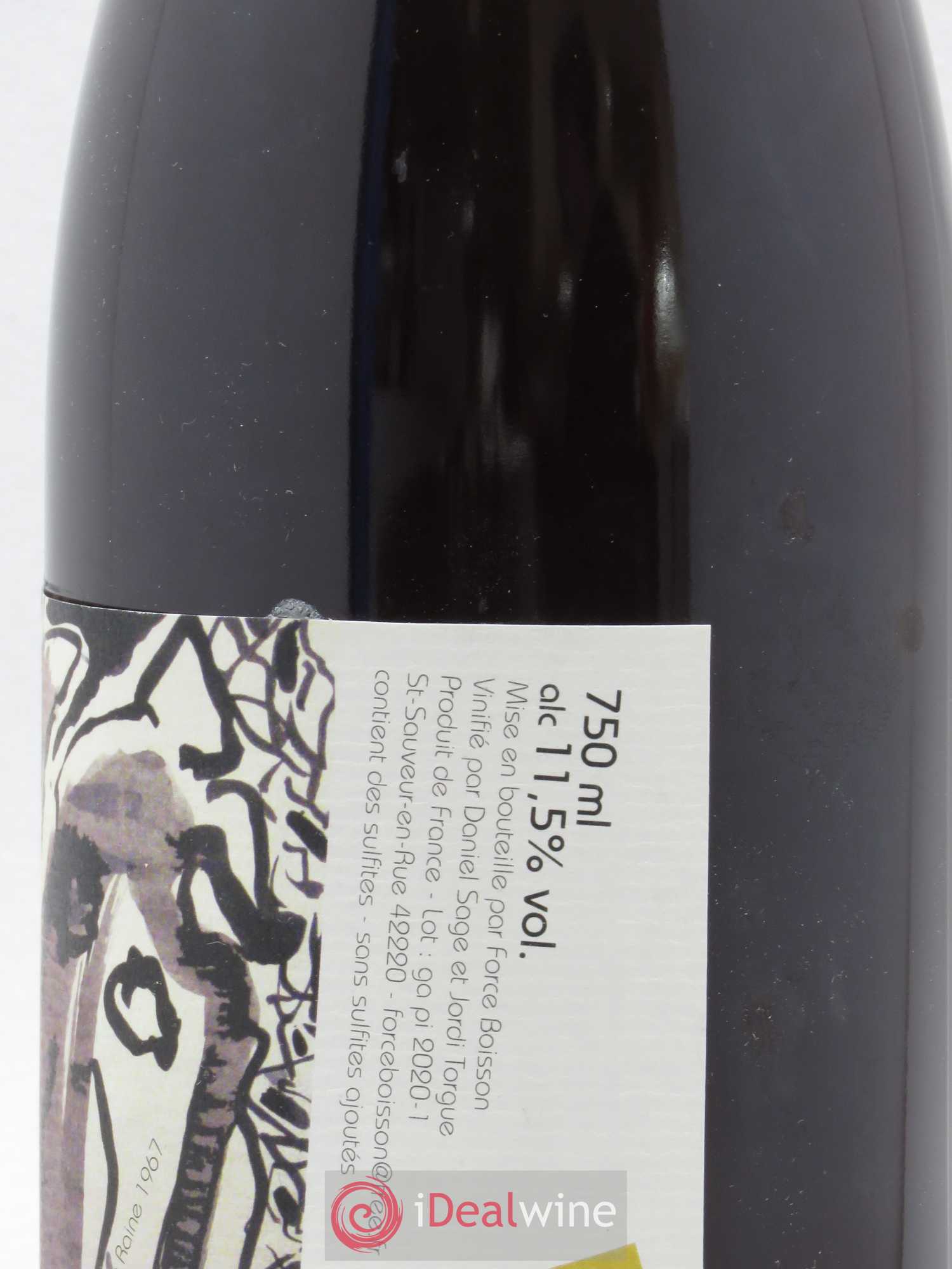 Vin de France Nyctalopie Daniel Sage 2019 - Lot de 1 bouteille - 1
