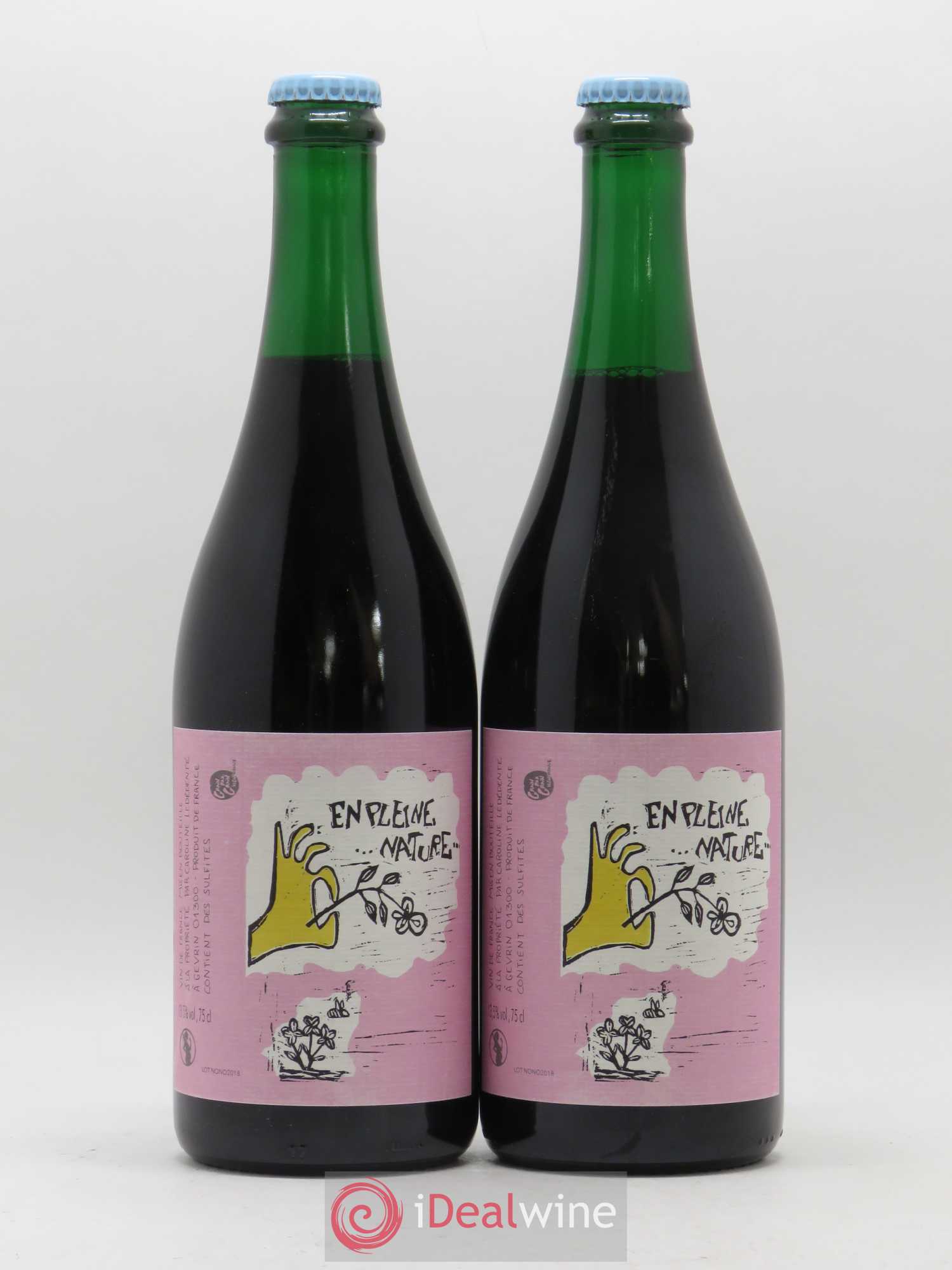 Vin de France En Pleine Nature Caroline Ledédenté 2018 - Posten von 2 Flaschen - 0