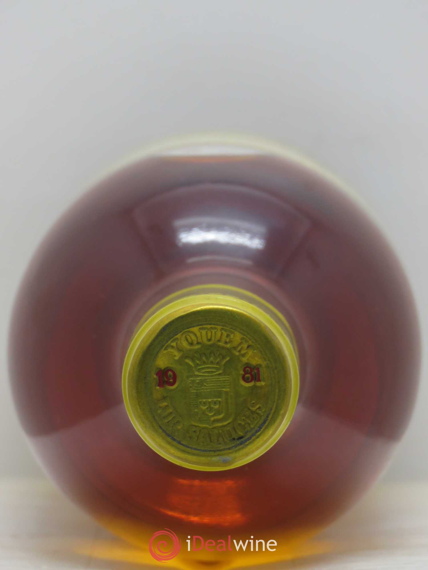 Château d' Yquem 1er Cru Classé Supérieur 1981 - Lotto di 1 bottiglia - 1