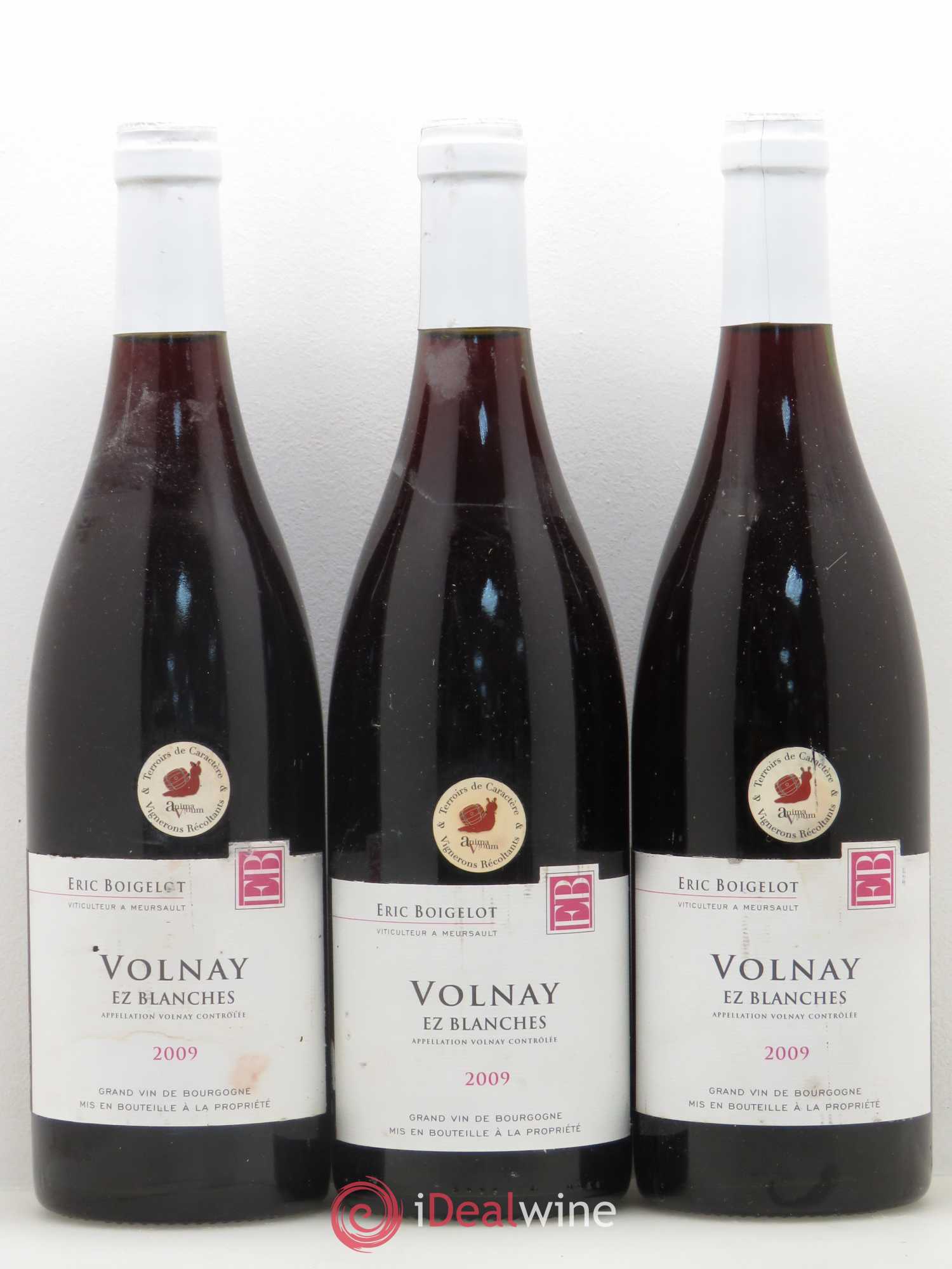 Volnay Ez blanches Domaine Boigelot 2009 - Posten von 6 Flaschen - 1