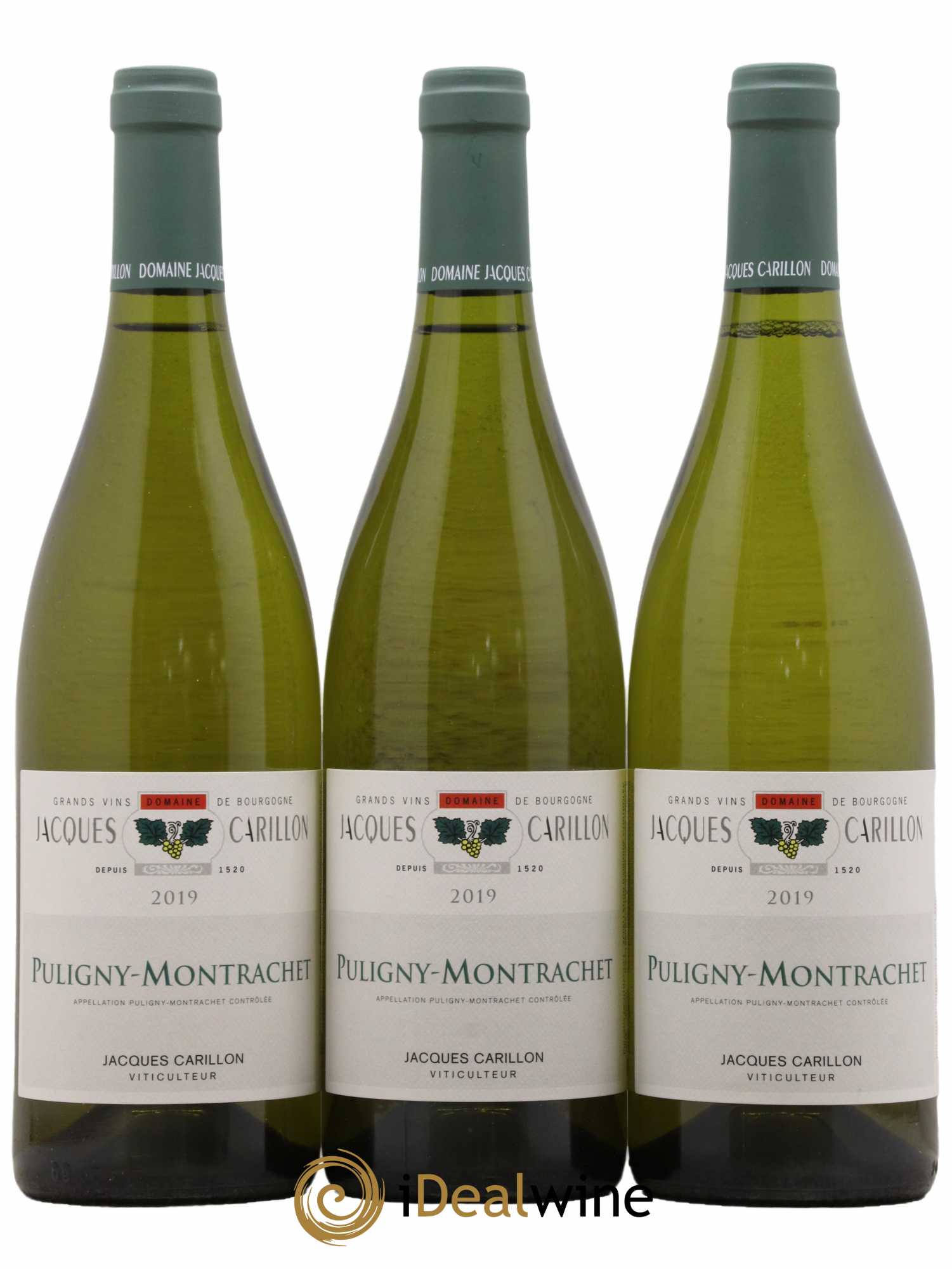 Puligny-Montrachet Jacques Carillon (Domaine) 2019 - Lot de 3 bouteilles - 0