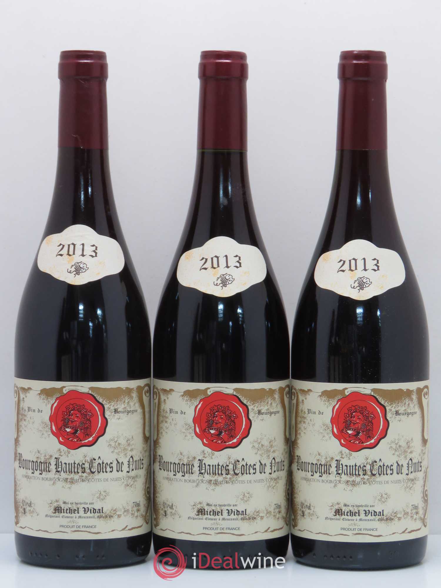 Hautes-Côtes de Nuits Michel Vidal 2013 - Lot of 12 bottles - 2