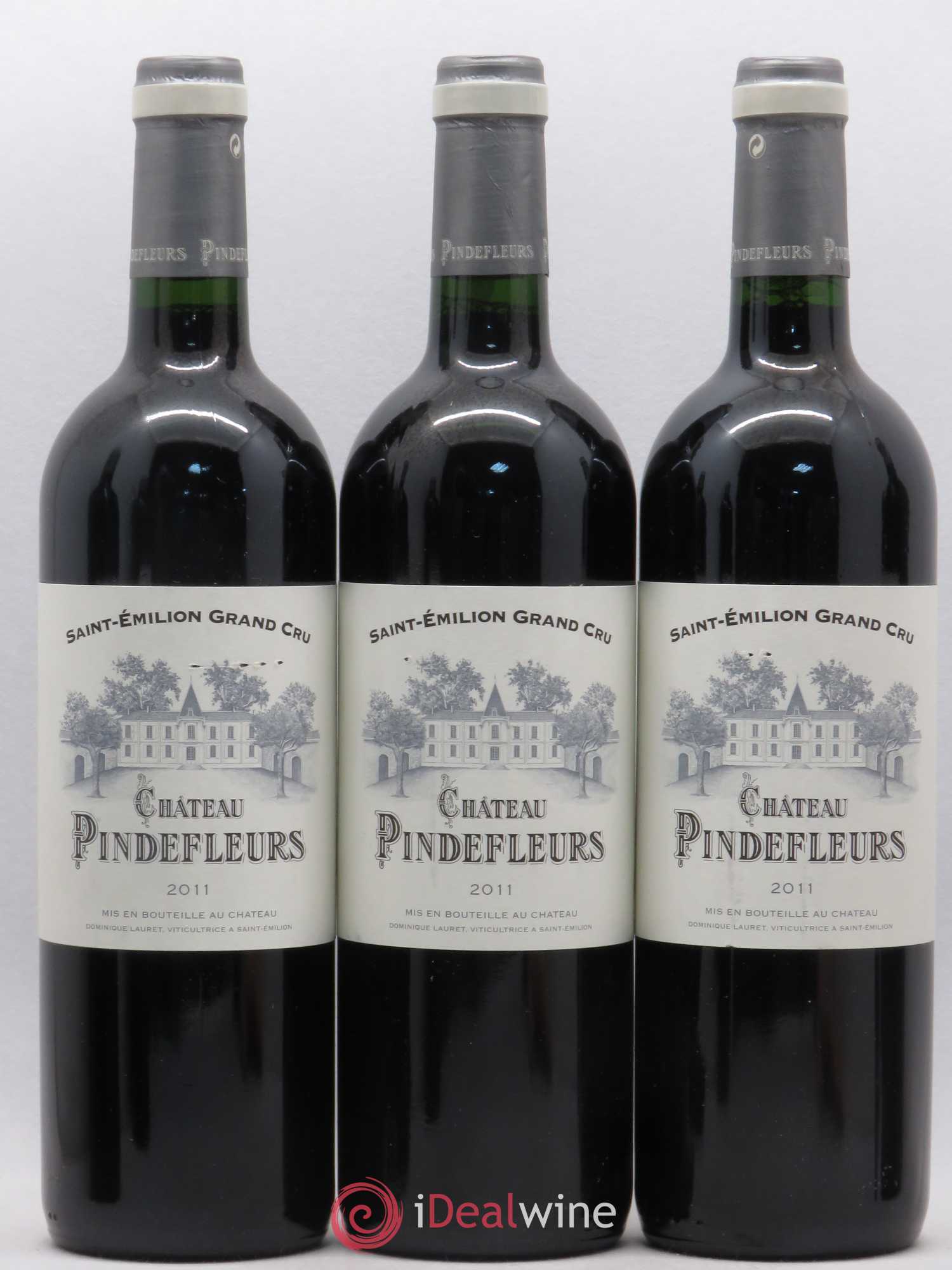 Saint-Émilion Château Pindefleurs (sans prix de réserve) 2011 - Posten von 6 Flaschen - 2