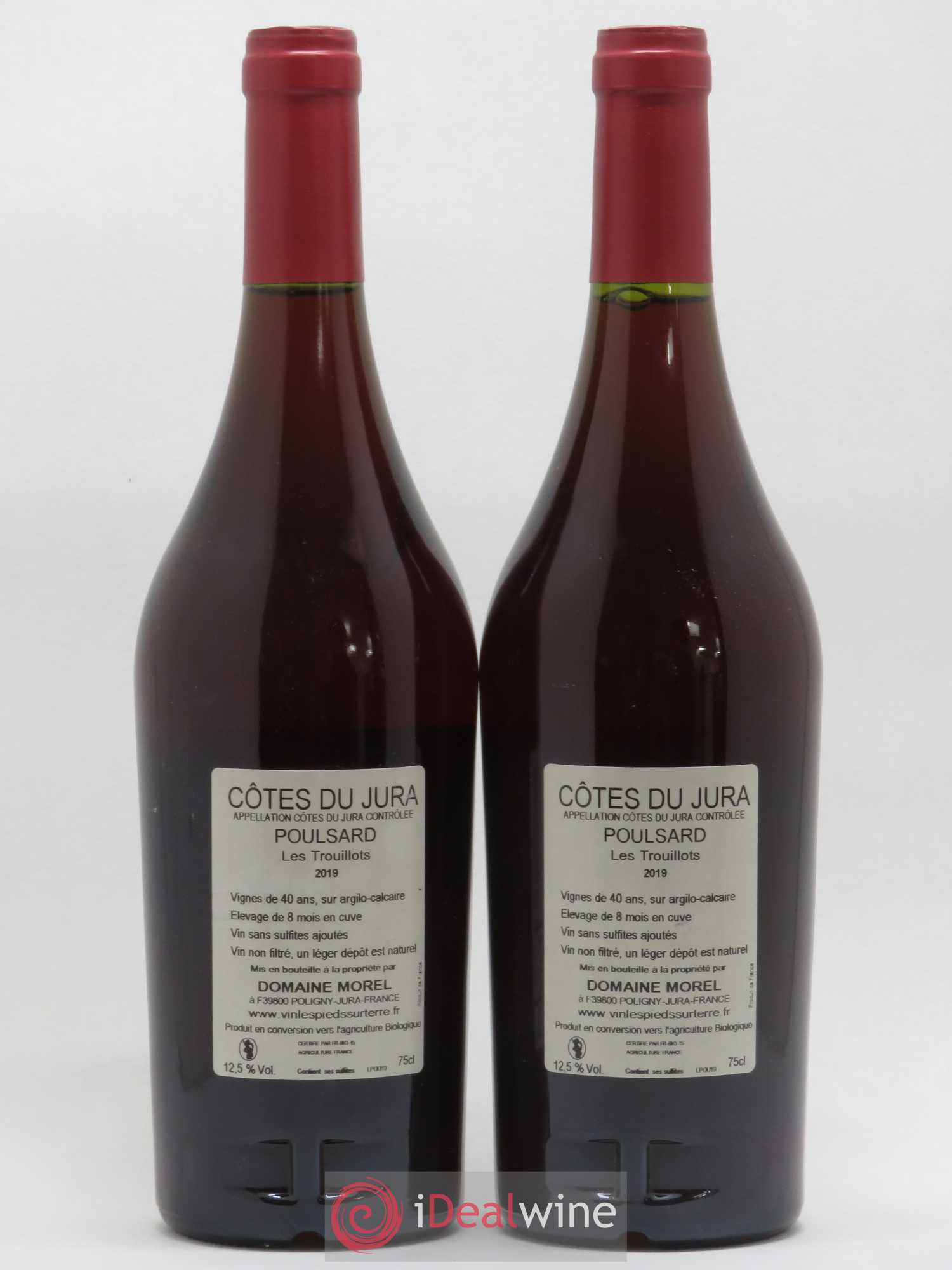 Côtes du Jura Les Trouillots Poulsard Morel Les Pieds sur terre 2019 - Posten von 2 Flaschen - 1