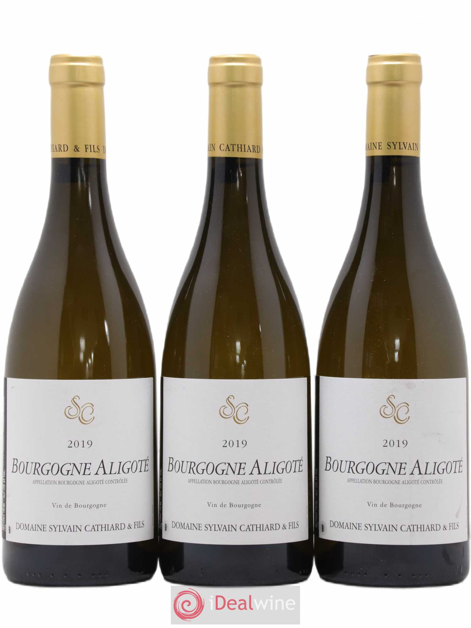 Bourgogne Aligoté Sylvain Cathiard 2019 - Posten von 3 Flaschen - 0