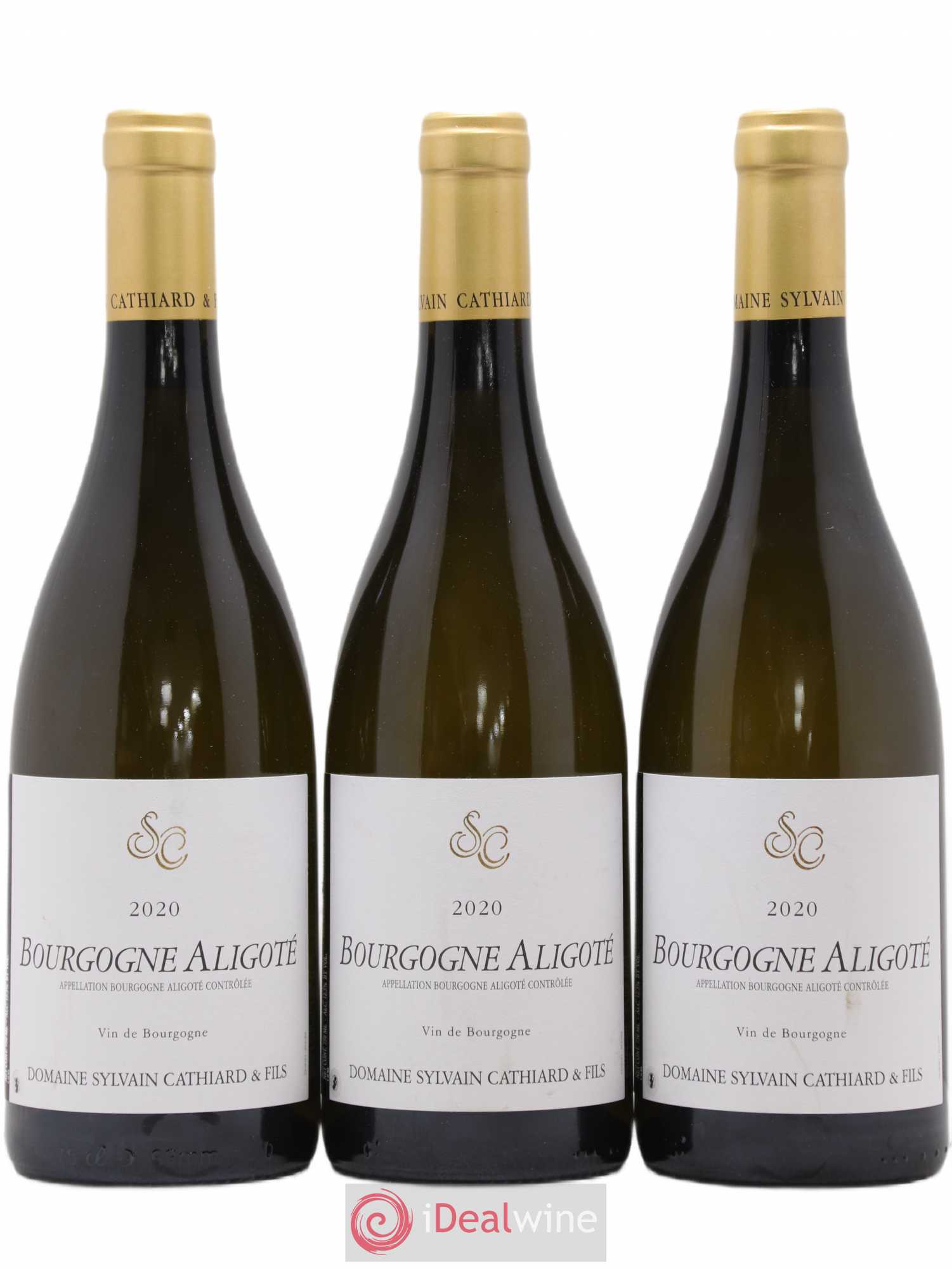 Bourgogne Aligoté Sylvain Cathiard 2020 - Posten von 3 Flaschen - 0