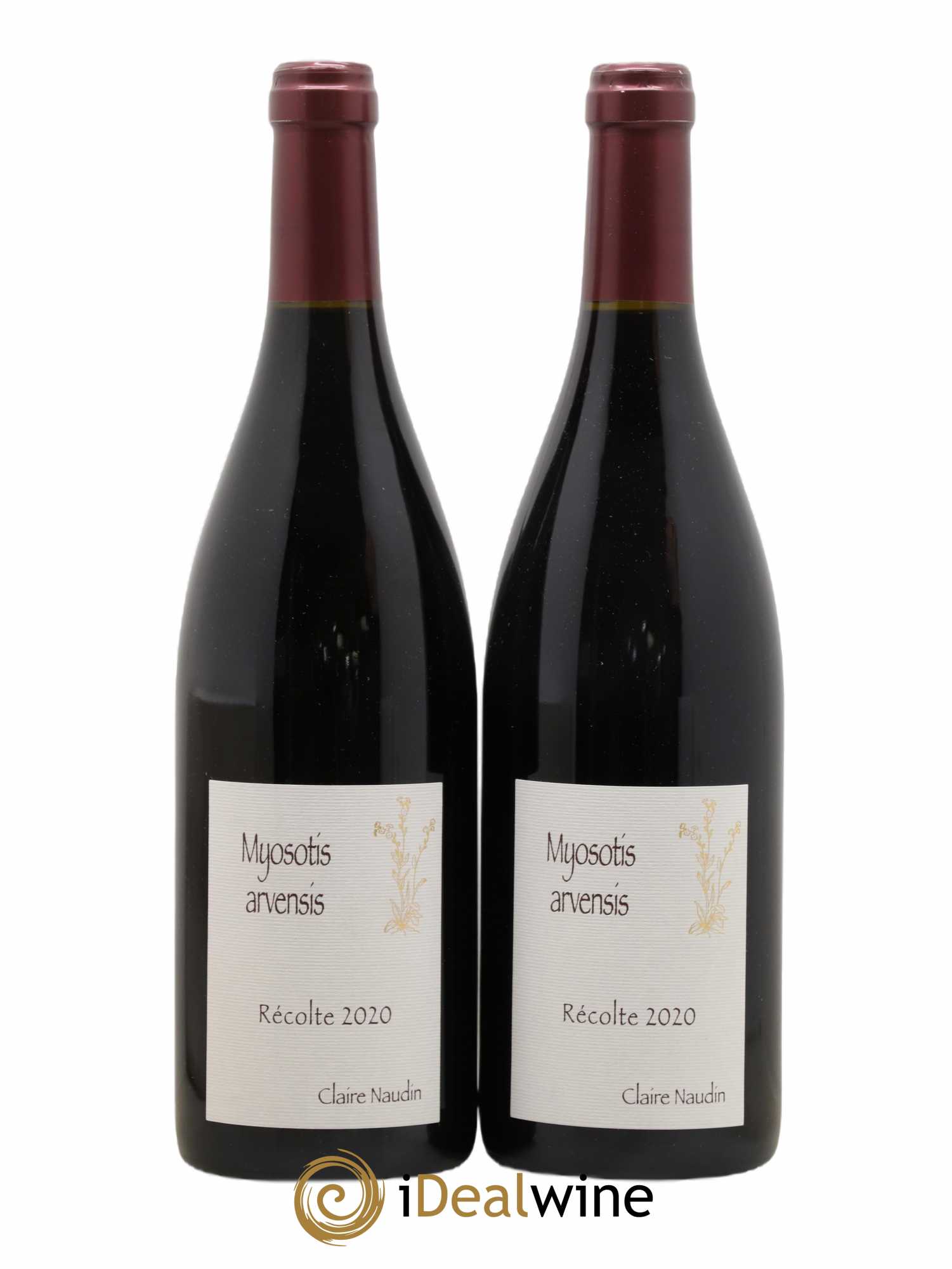 Hautes-Côtes de Nuits Myosotis Arvensis Naudin-Ferrand (Domaine) 2020 - Lot de 2 bouteilles - 0