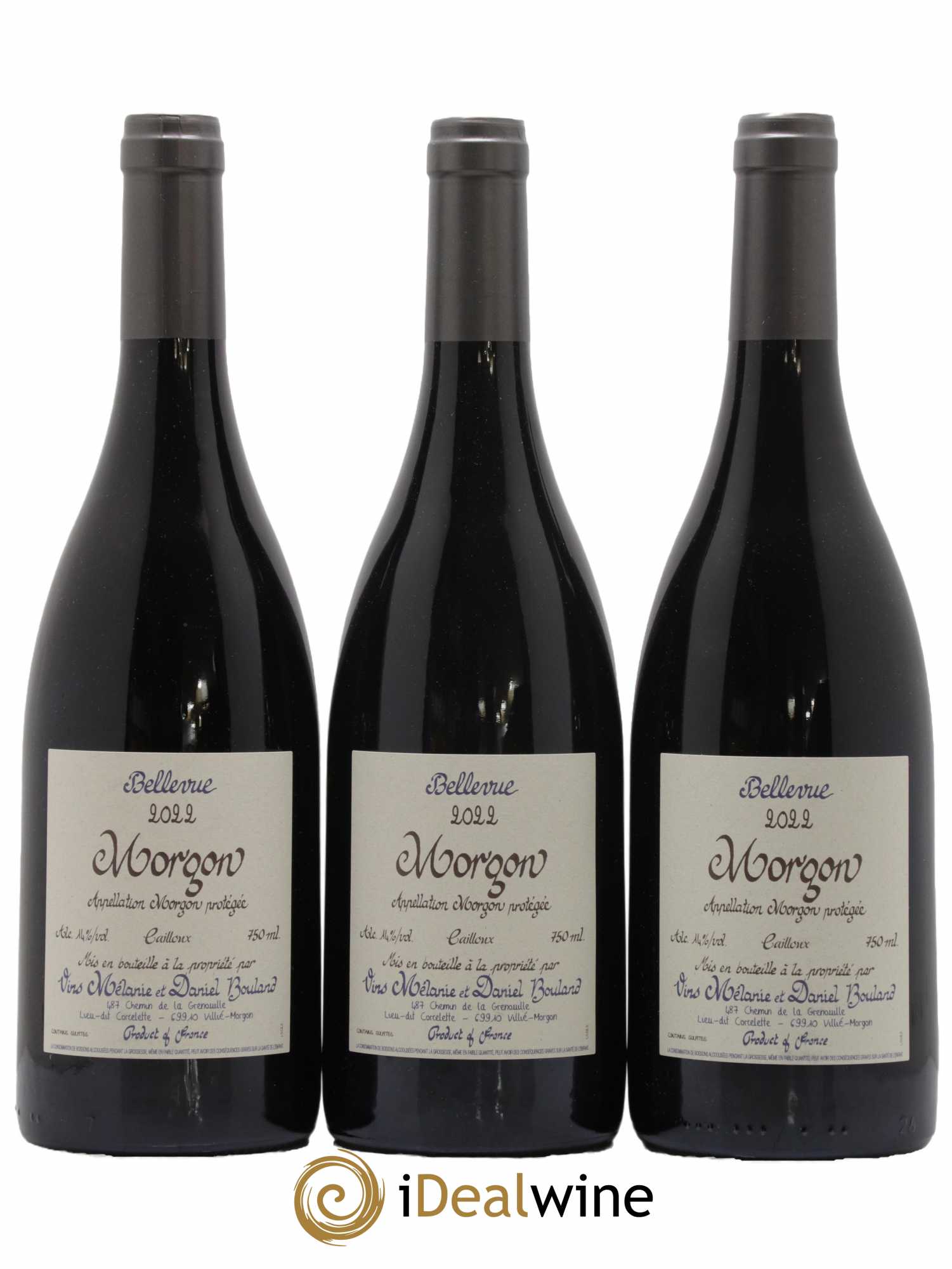 Morgon Bellevue Cailloux Daniel Bouland (Domaine) 2022 - Lot de 3 bouteilles - 0