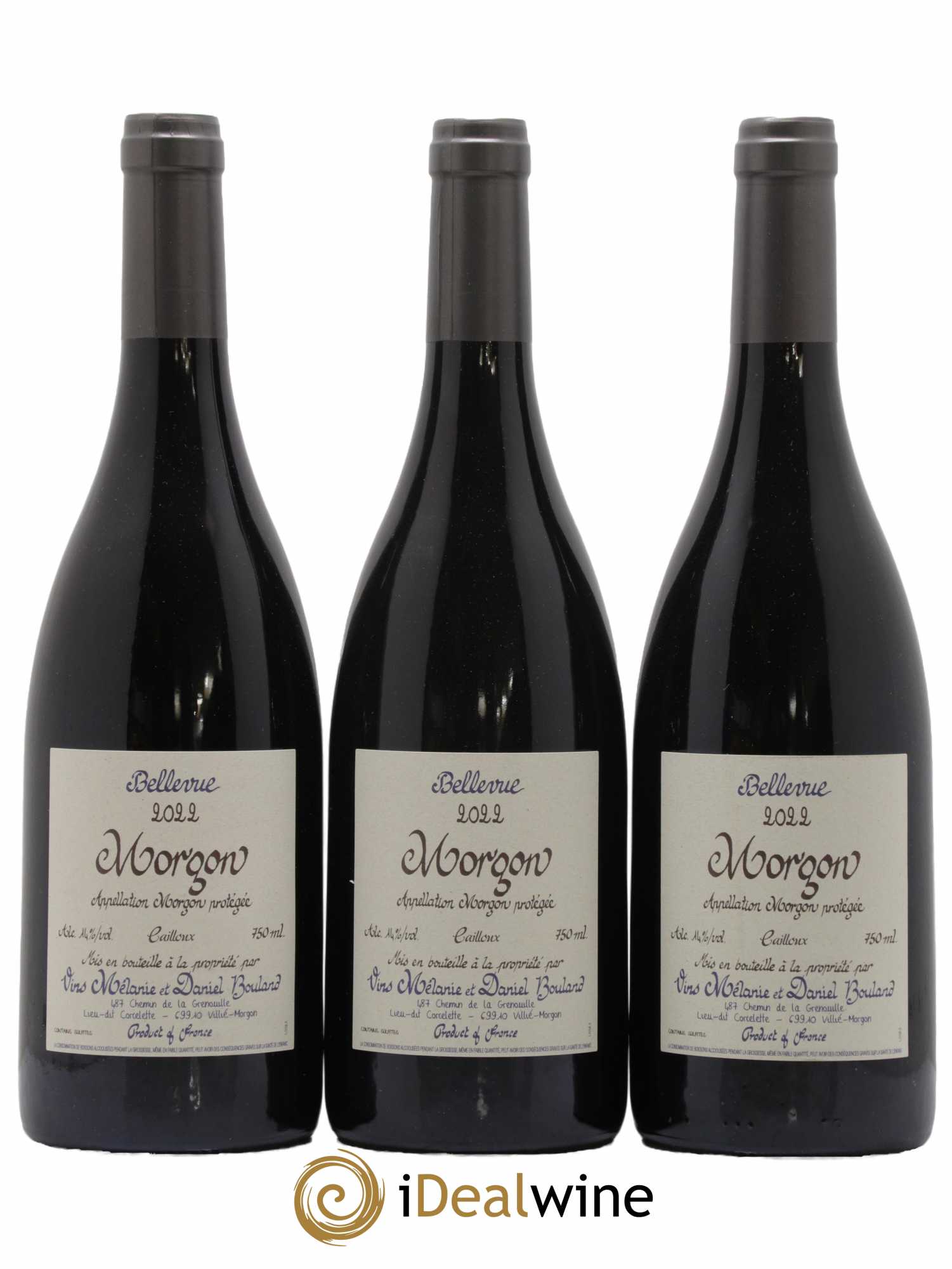 Morgon Bellevue Cailloux Daniel Bouland (Domaine) 2022 - Lotto di 3 bottiglie - 0