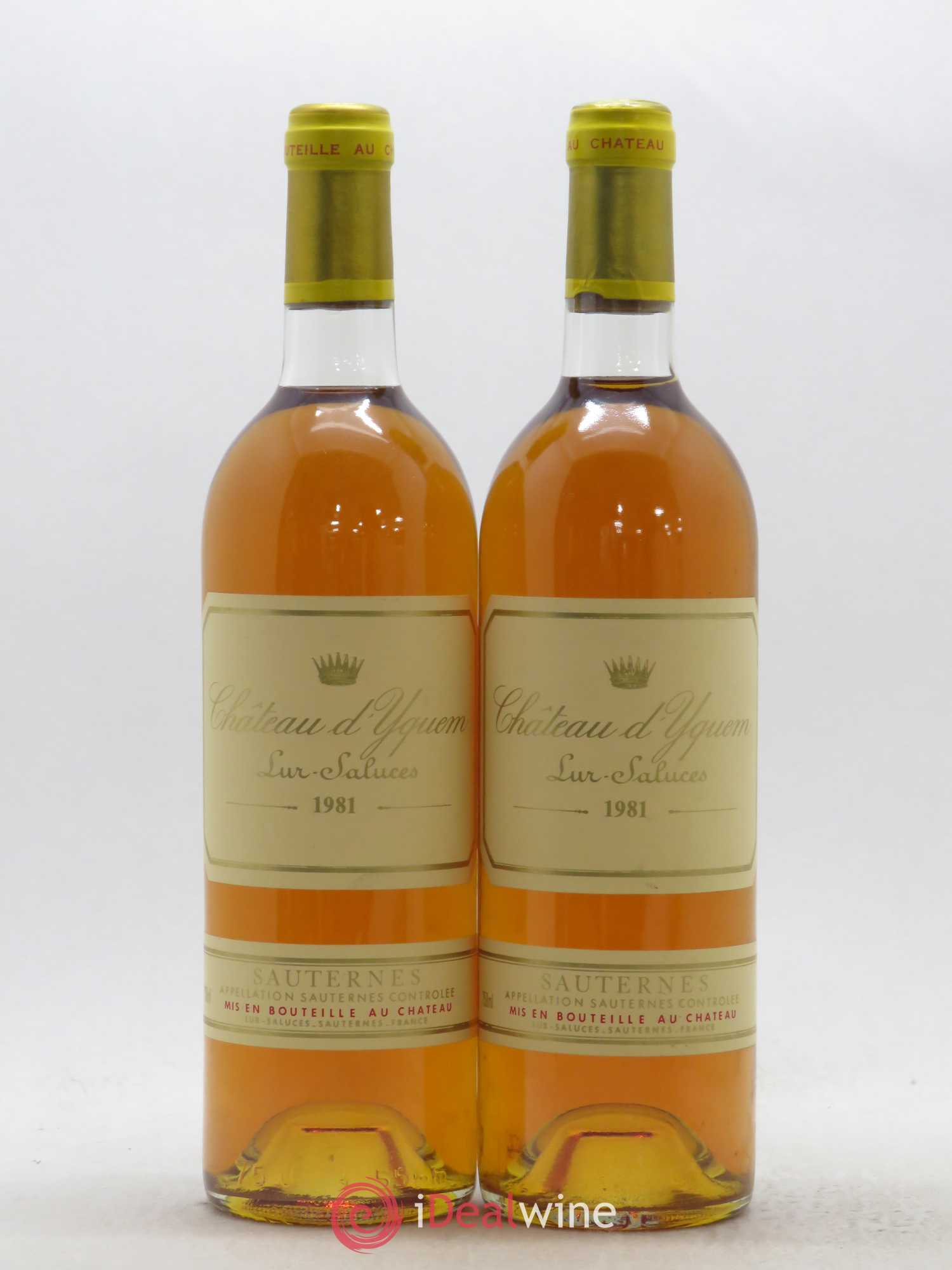 Château d' Yquem 1er Cru Classé Supérieur 1981 - Lotto di 2 bottiglie - 0
