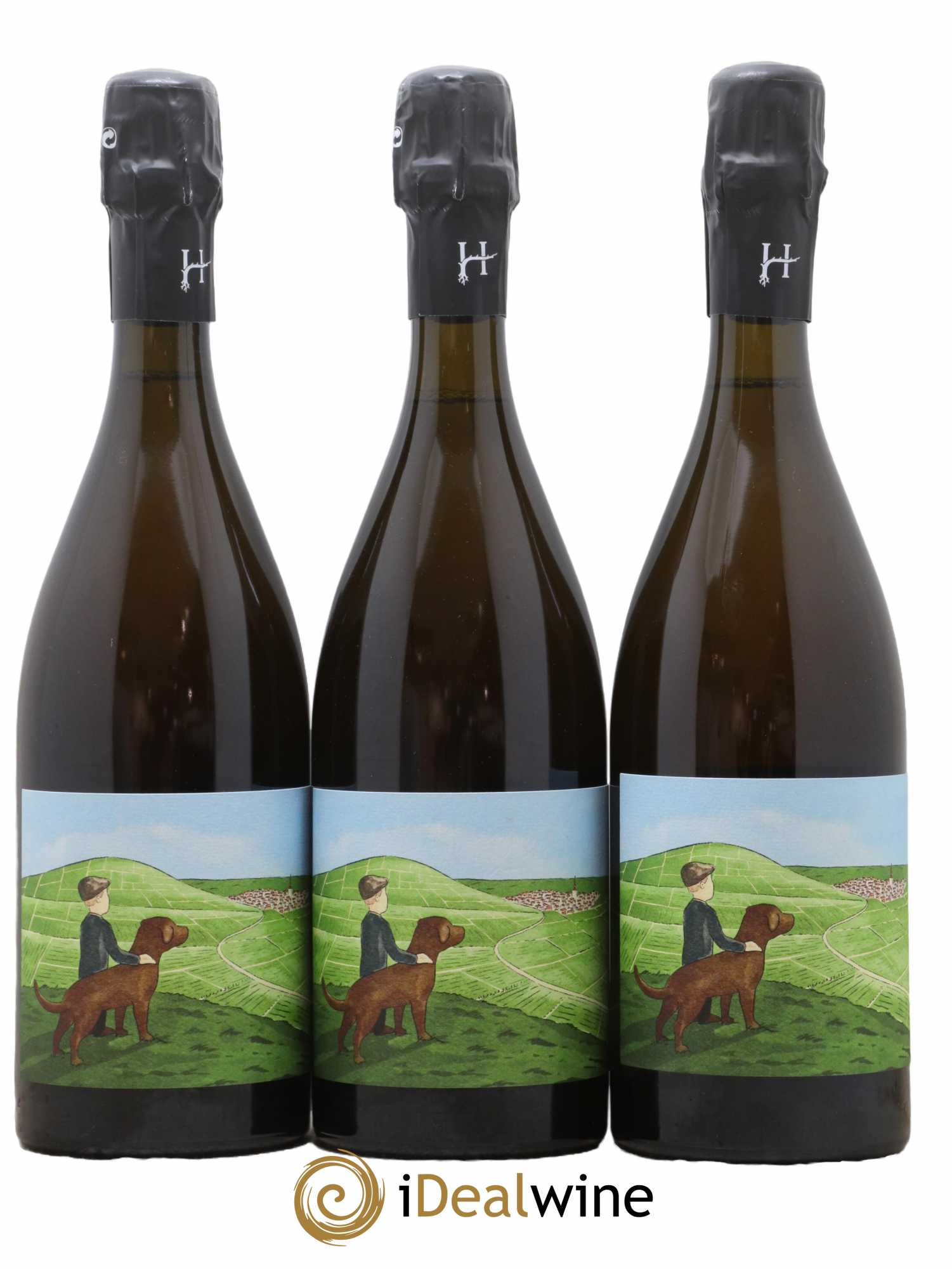 Gamin du Terroir Romain Henin - Lot de 3 bouteilles - 0