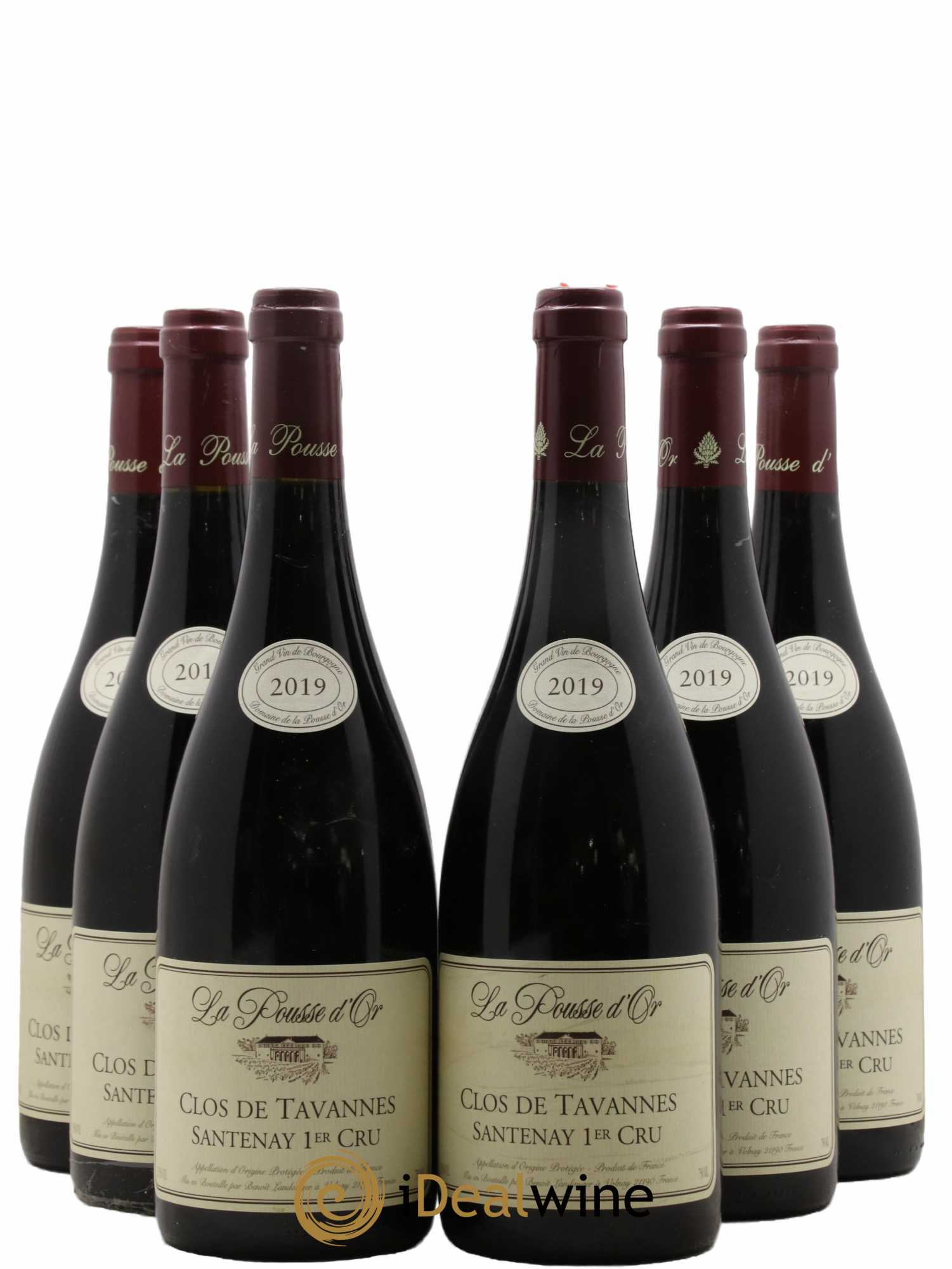 Santenay 1er Cru Clos de Tavannes Pousse d'Or 2019 - Lot de 6 bouteilles - 0