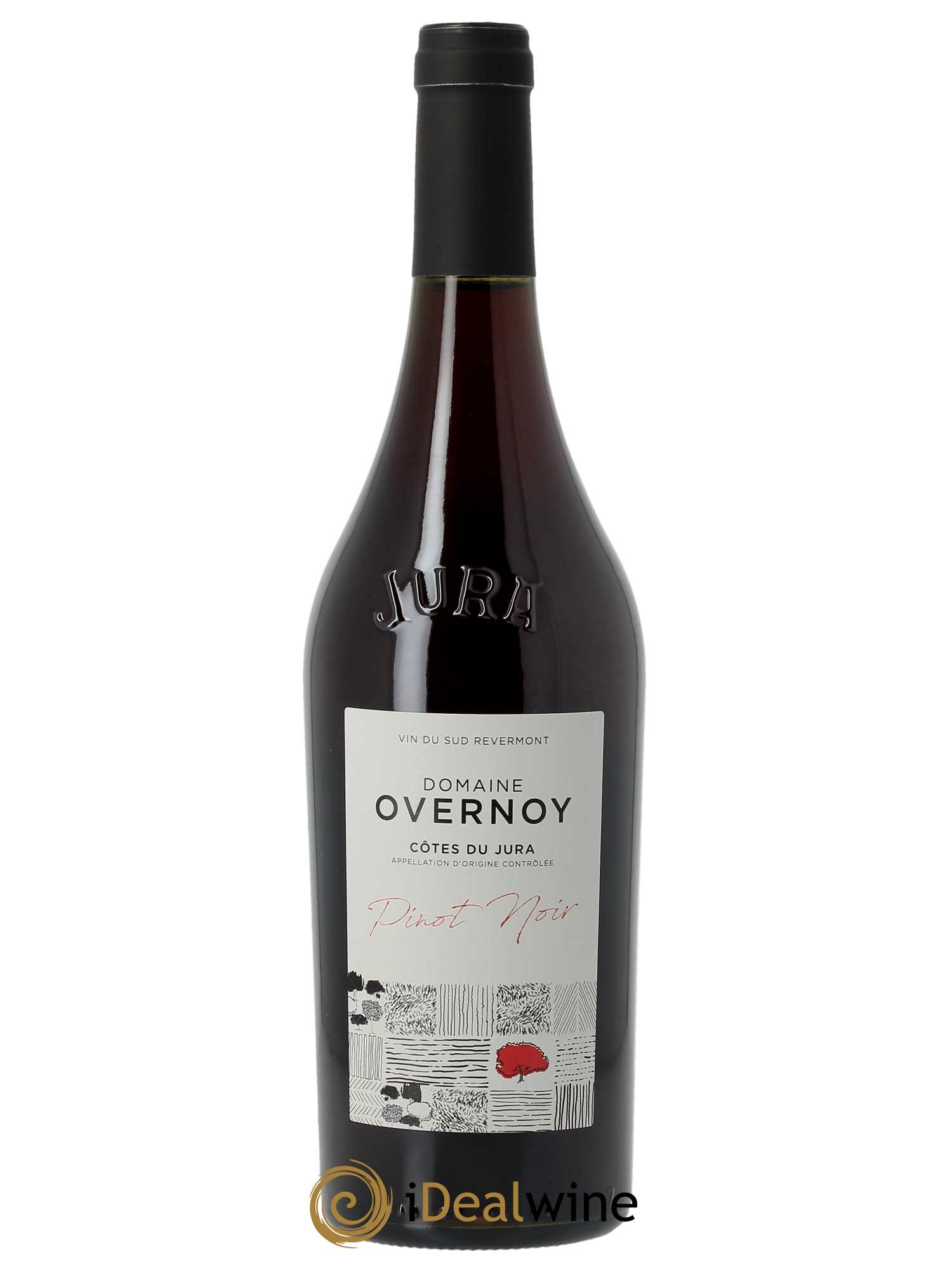 Côtes du Jura Pinot Noir Guillaume Overnoy  2021 - Lotto di 1 bottiglia - 0