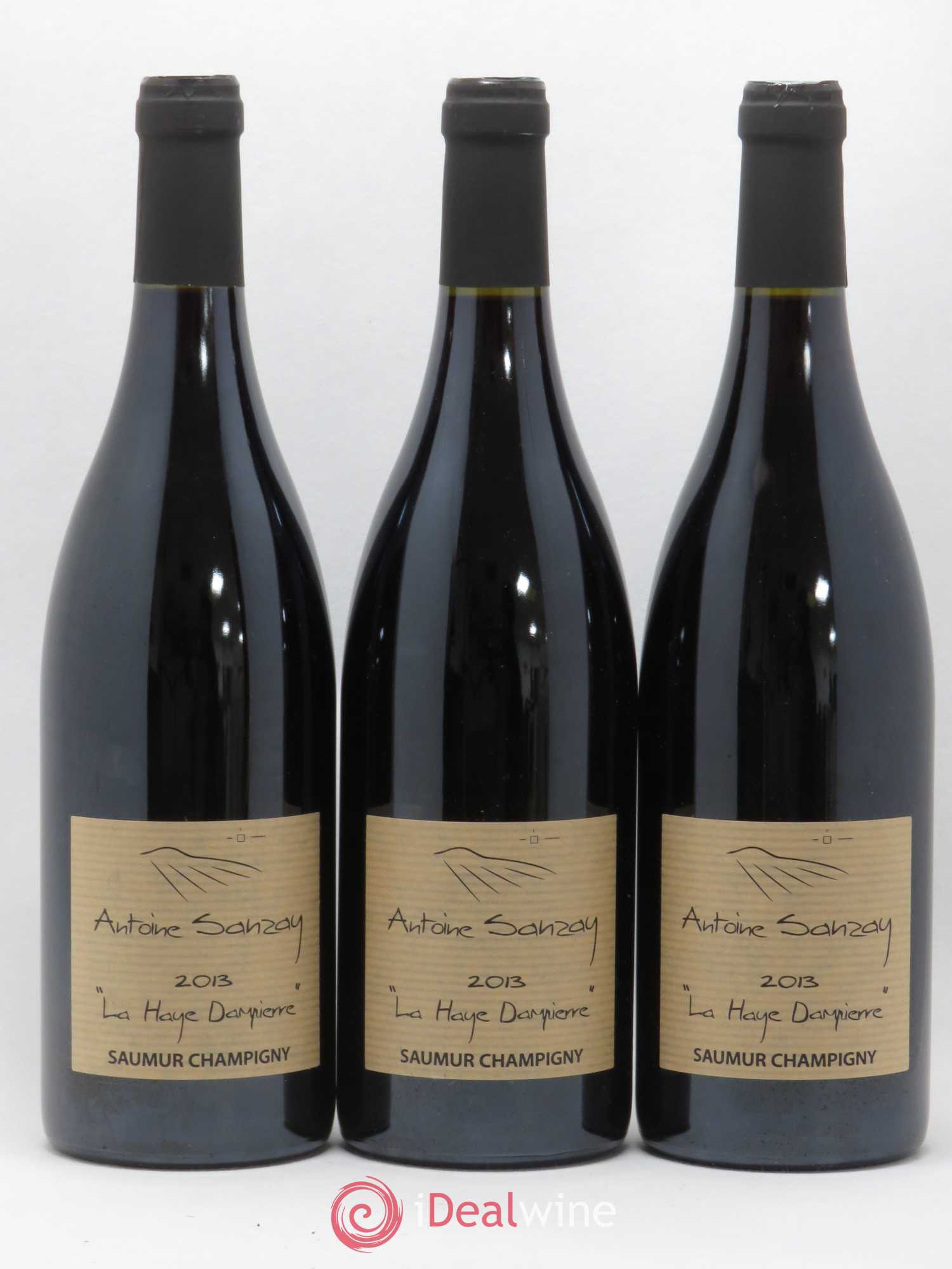 Saumur-Champigny La Haye Dampierre Antoine Sanzay (sans prix de réserve) 2013 - Lot de 3 bouteilles - 0