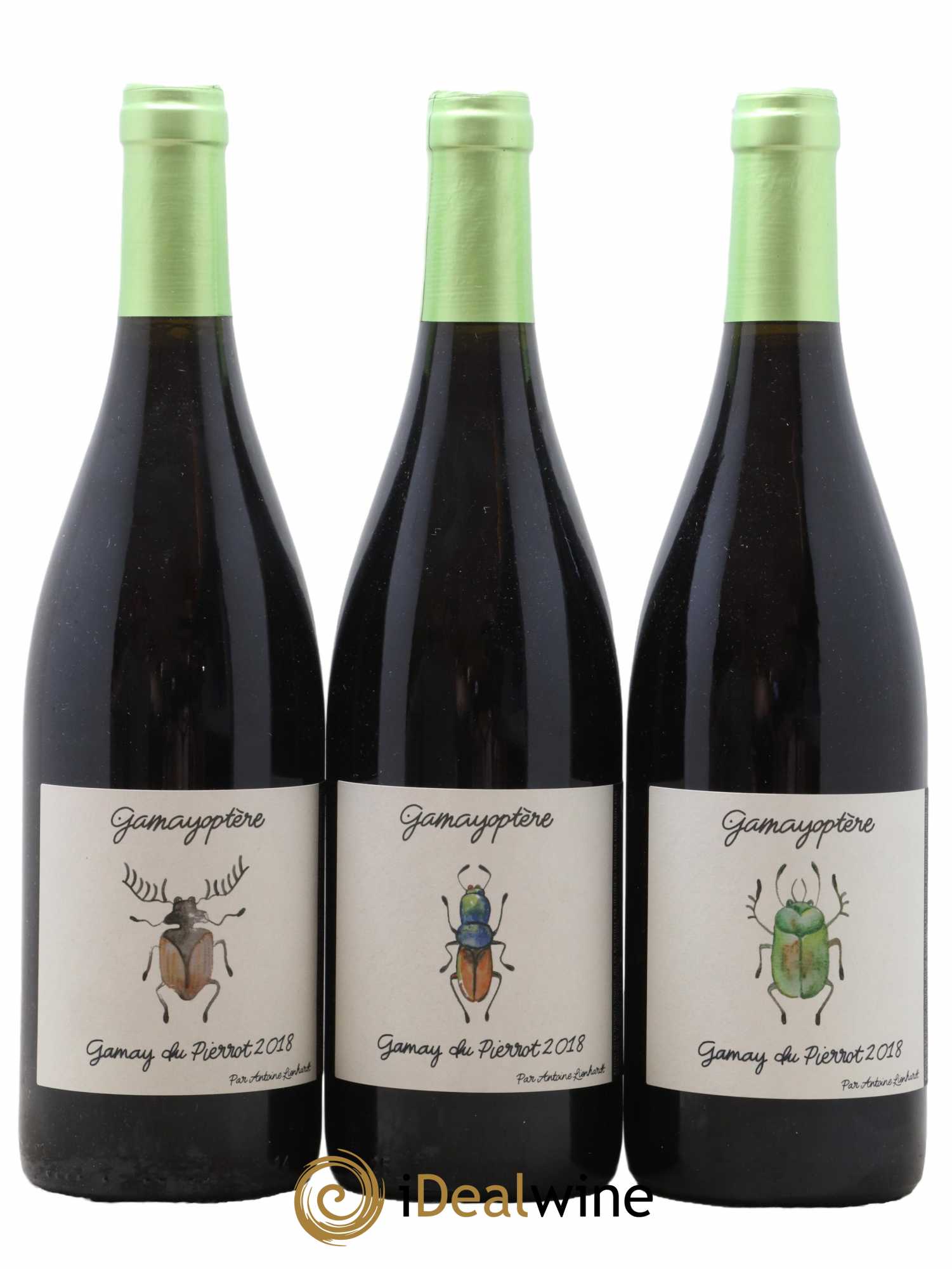 Coteaux Bourguignons Gamayoptère Antoine Lienhardt 2018 - Lot de 3 bouteilles - 0