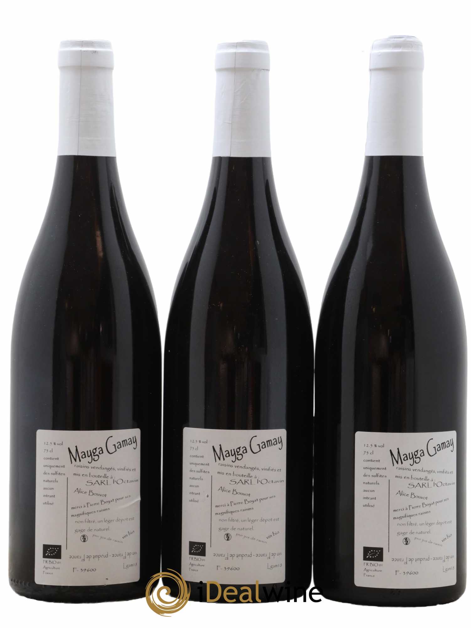 Vin de France Mayga Gamay Domaine de l'Octavin 2018 - Lot de 3 bouteilles - 1