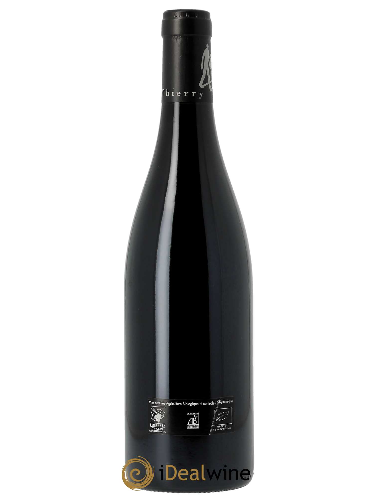 Saumur-Champigny Terres Chaudes Domaine des Roches Neuves - Thierry Germain 2020 - Lot of 1 bottle - 1