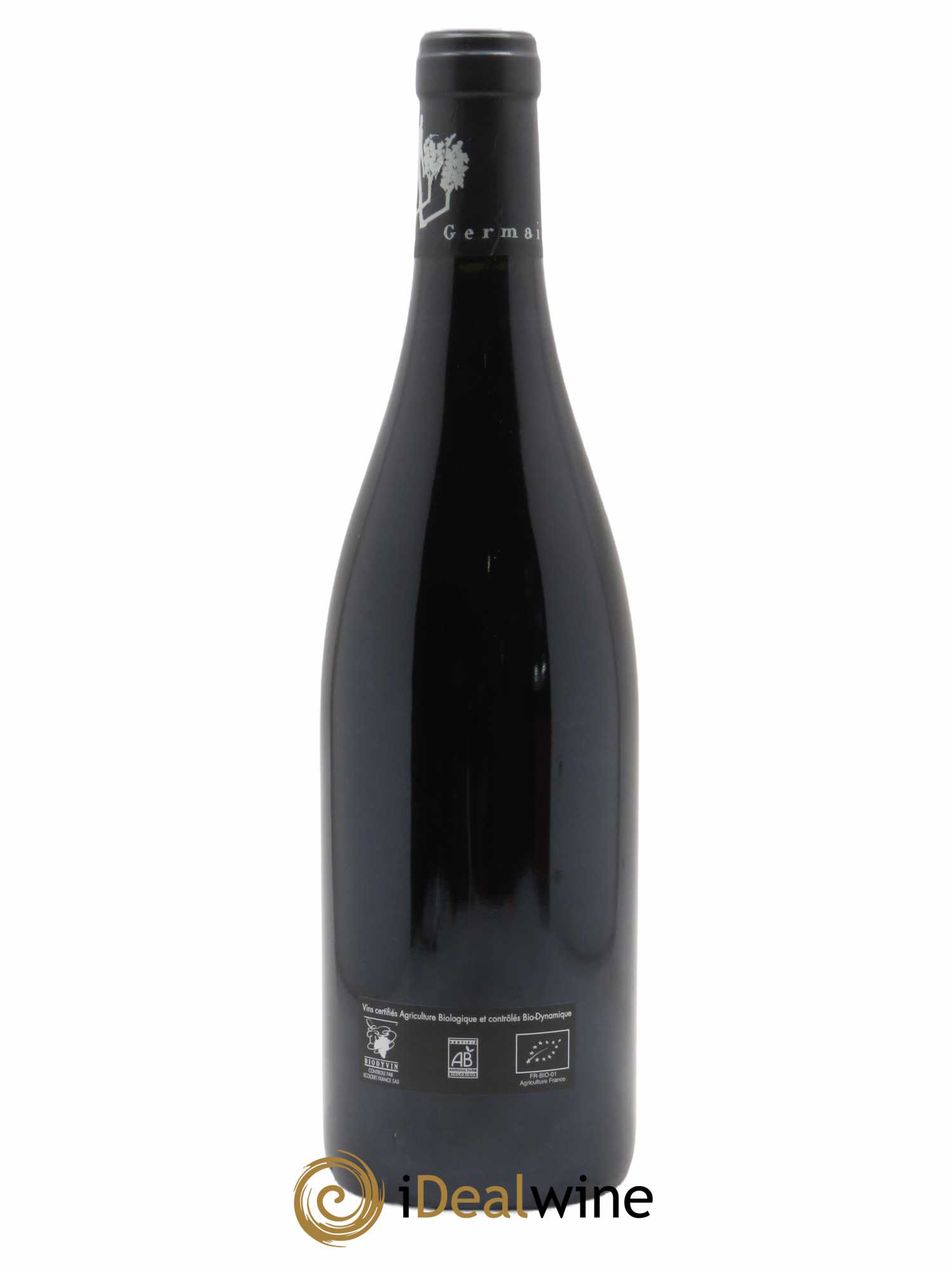 Saumur-Champigny Terres Chaudes Domaine des Roches Neuves - Thierry Germain 2021 - Lot of 1 bottle - 1