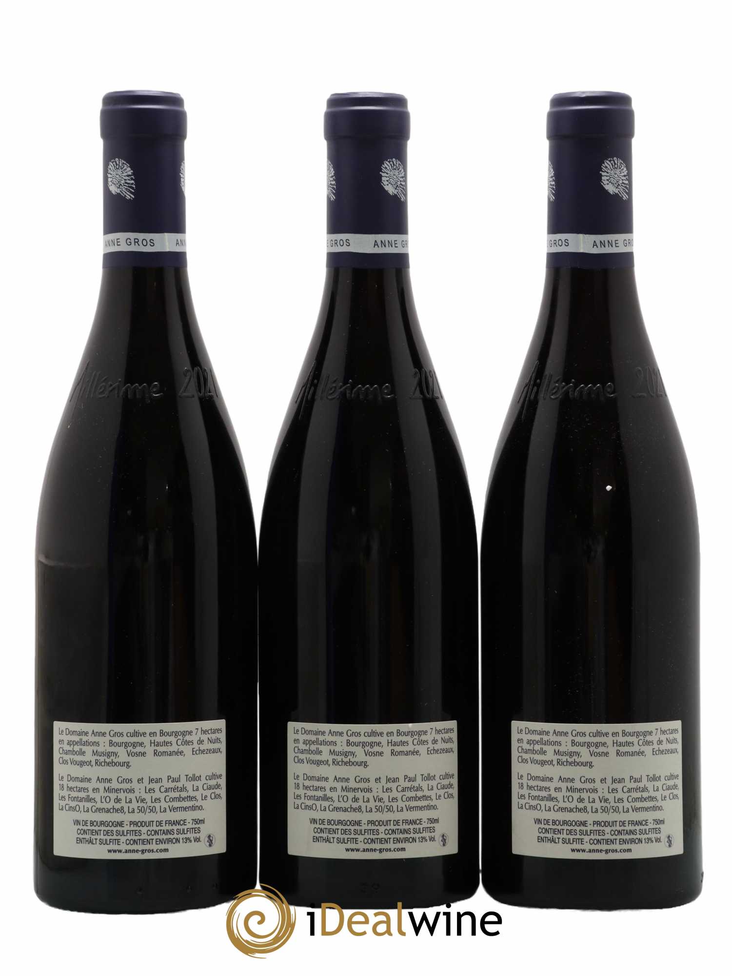 Clos de Vougeot Grand Cru Le Grand Maupertui Anne Gros 2021 - Lot de 3 bouteilles - 1