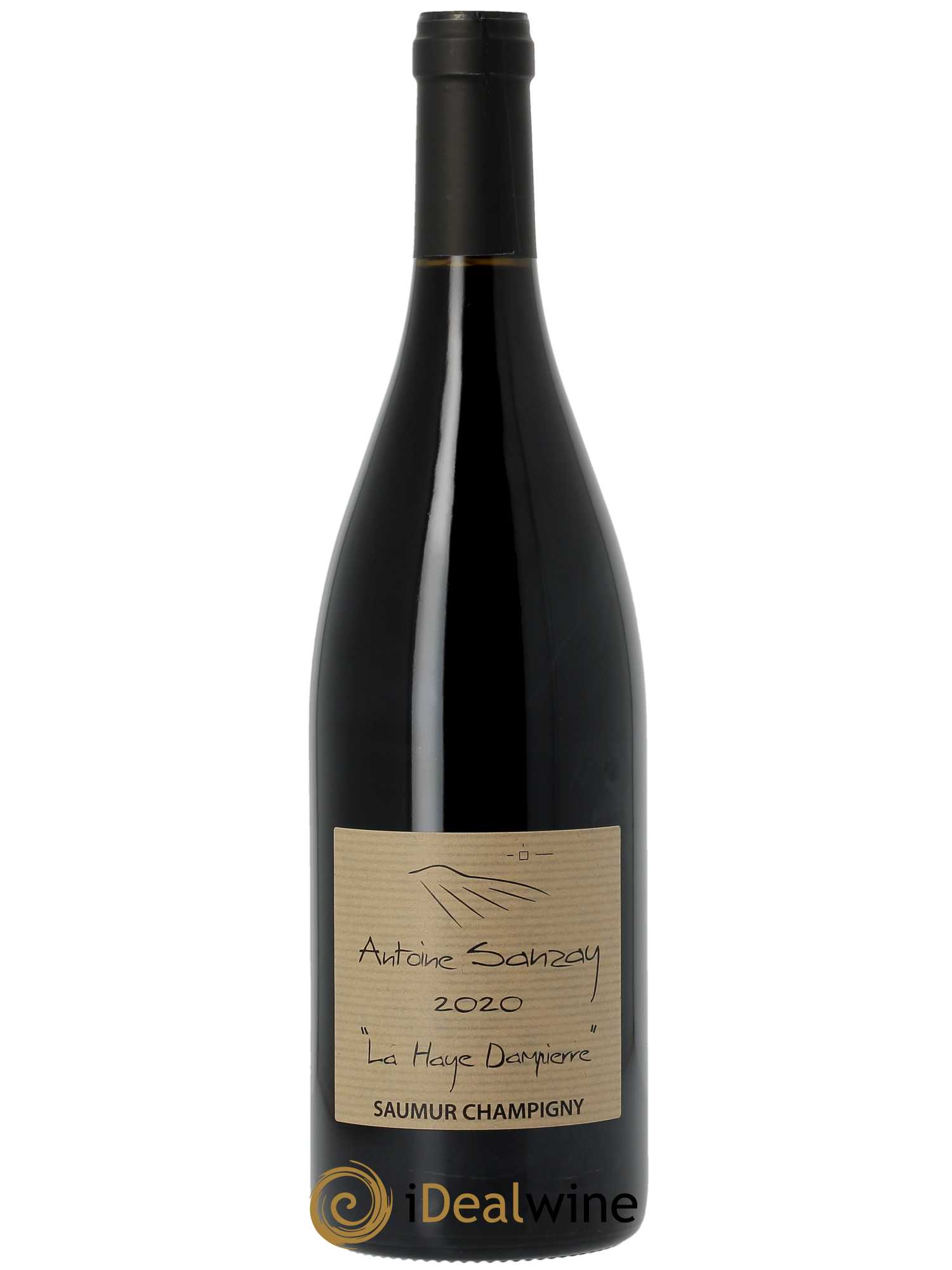 Saumur-Champigny La Haye Dampierre Antoine Sanzay 2020 - Lot of 1 bottle - 0