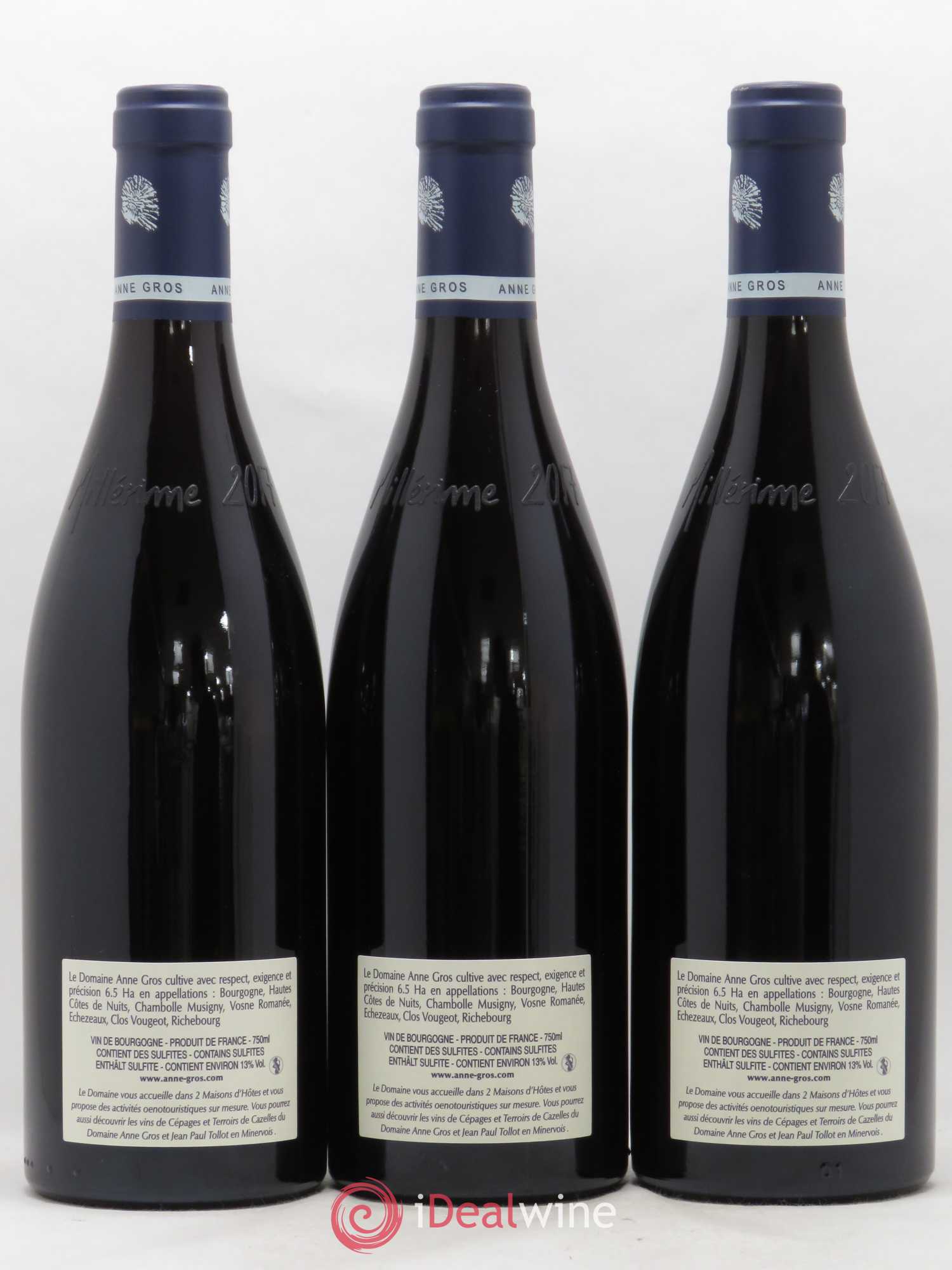 Clos de Vougeot Grand Cru Le Grand Maupertui Anne Gros 2017 - Lot de 3 bouteilles - 1
