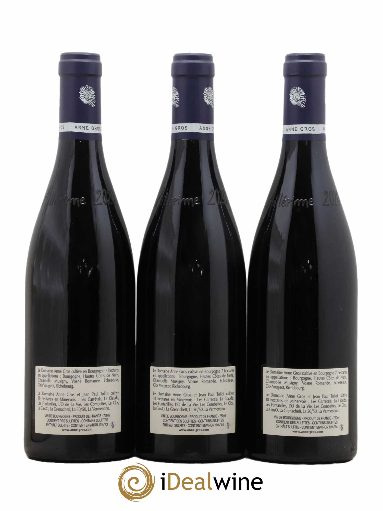 Echezeaux Grand Cru Les Loachausses Anne Gros 2020 - Lot de 3 bouteilles - 1