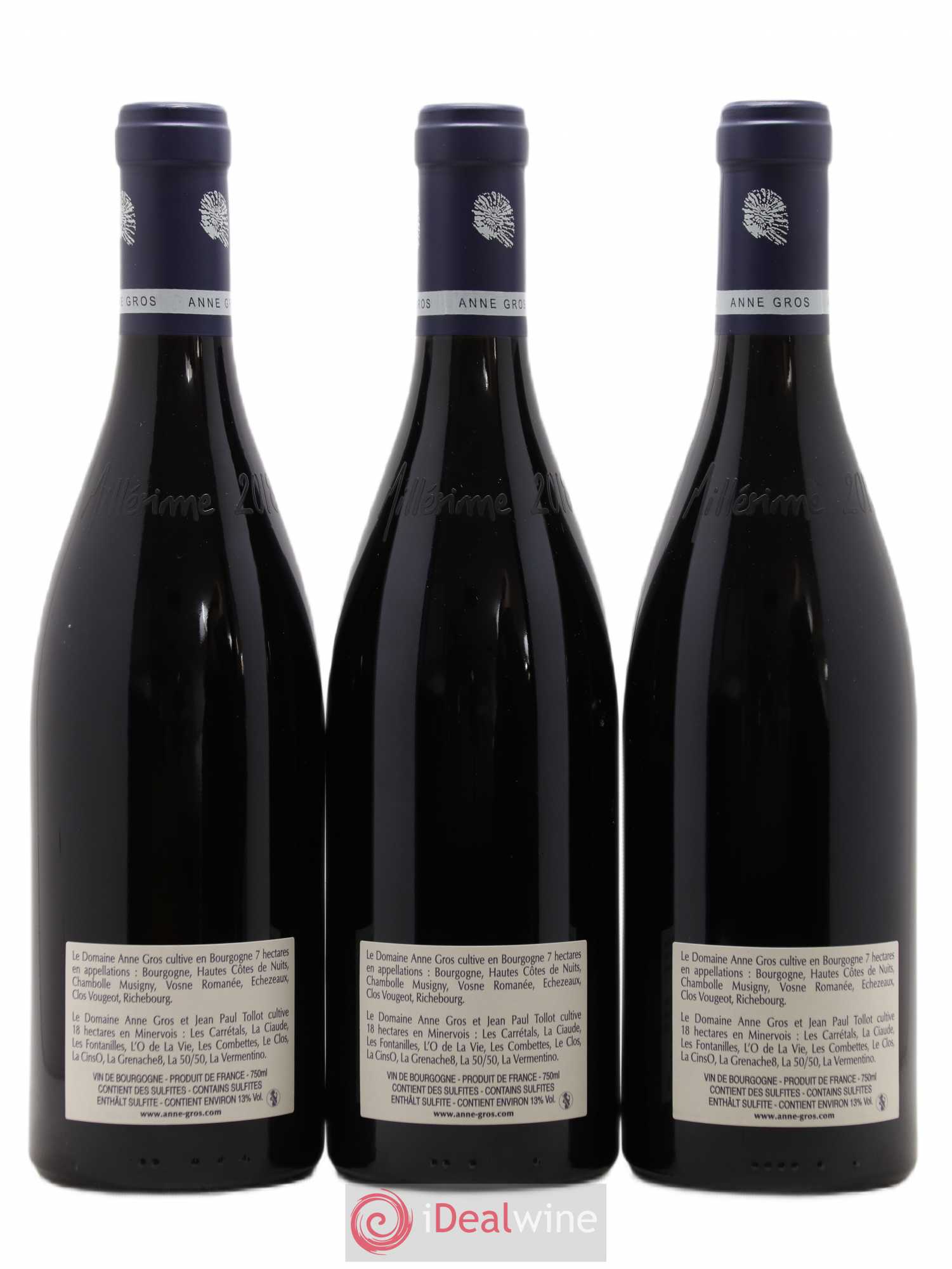 Clos de Vougeot Grand Cru Le Grand Maupertui Anne Gros 2018 - Lot de 3 bouteilles - 1