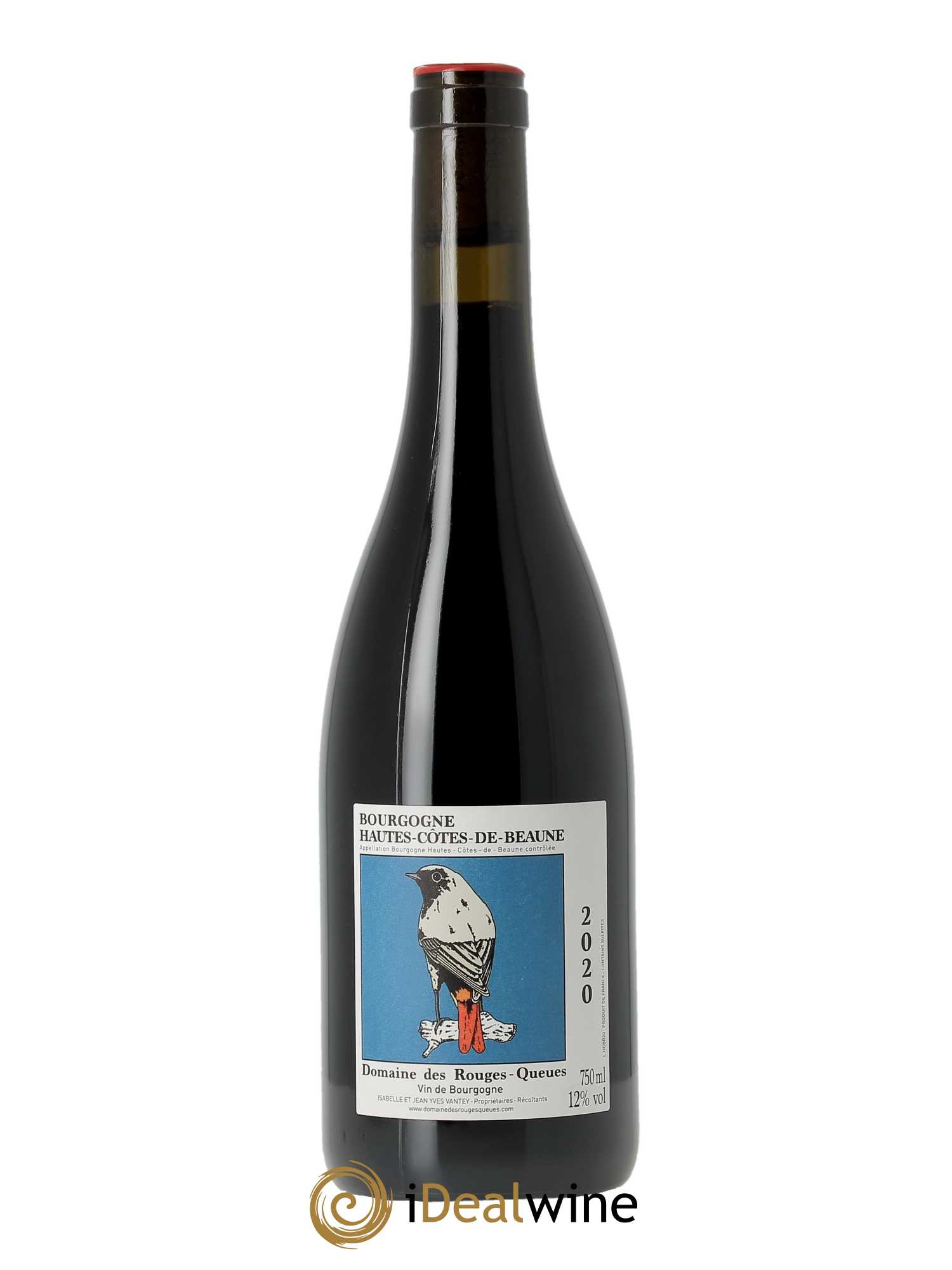 Hautes-Côtes de Beaune Rouges Queues (domaine des) 2020 - Lot of 1 bottle - 0