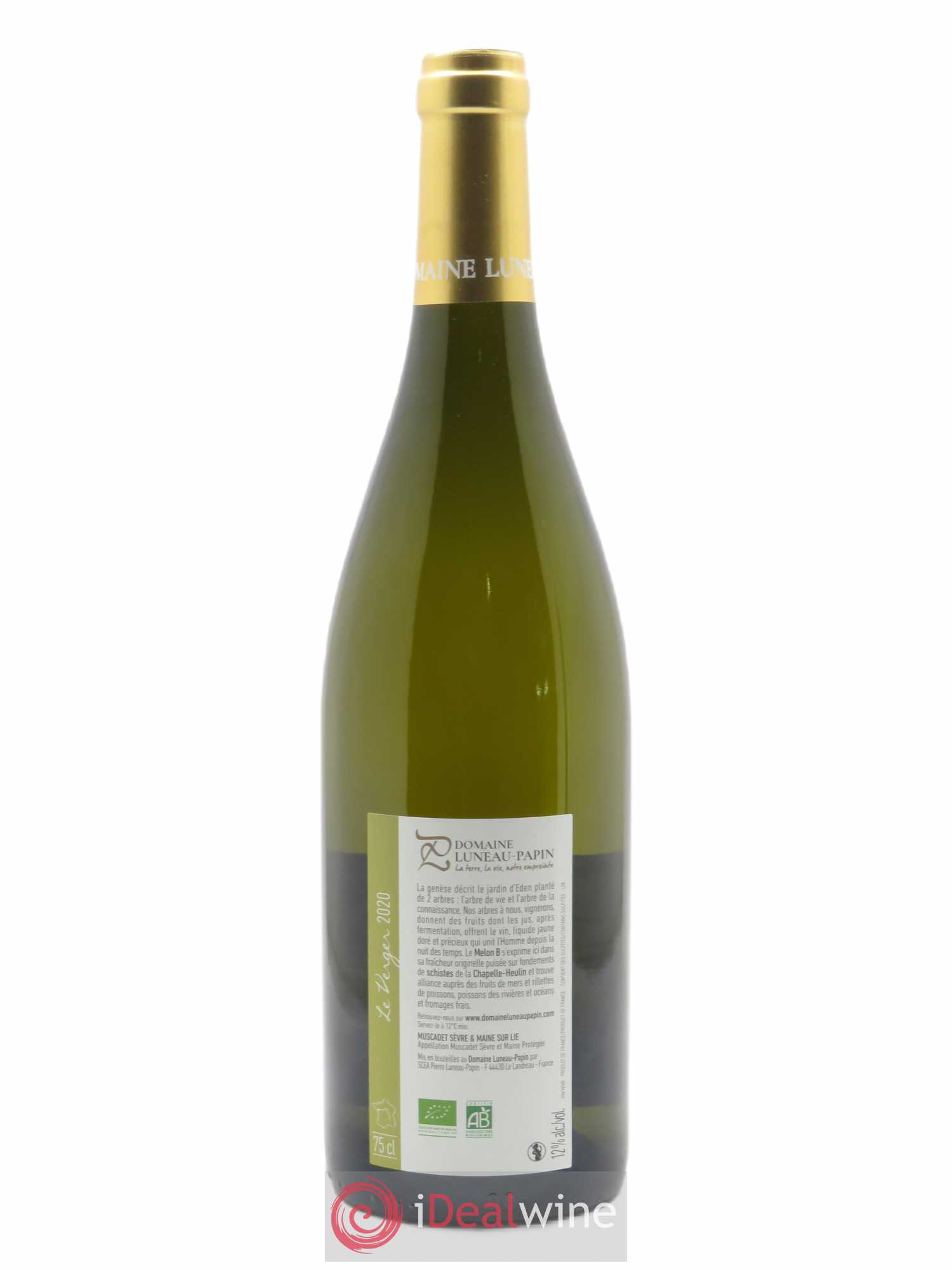 Muscadet-Sèvre-et-Maine Le Verger Luneau-Papin 2020 - Lot de 1 bouteille - 1