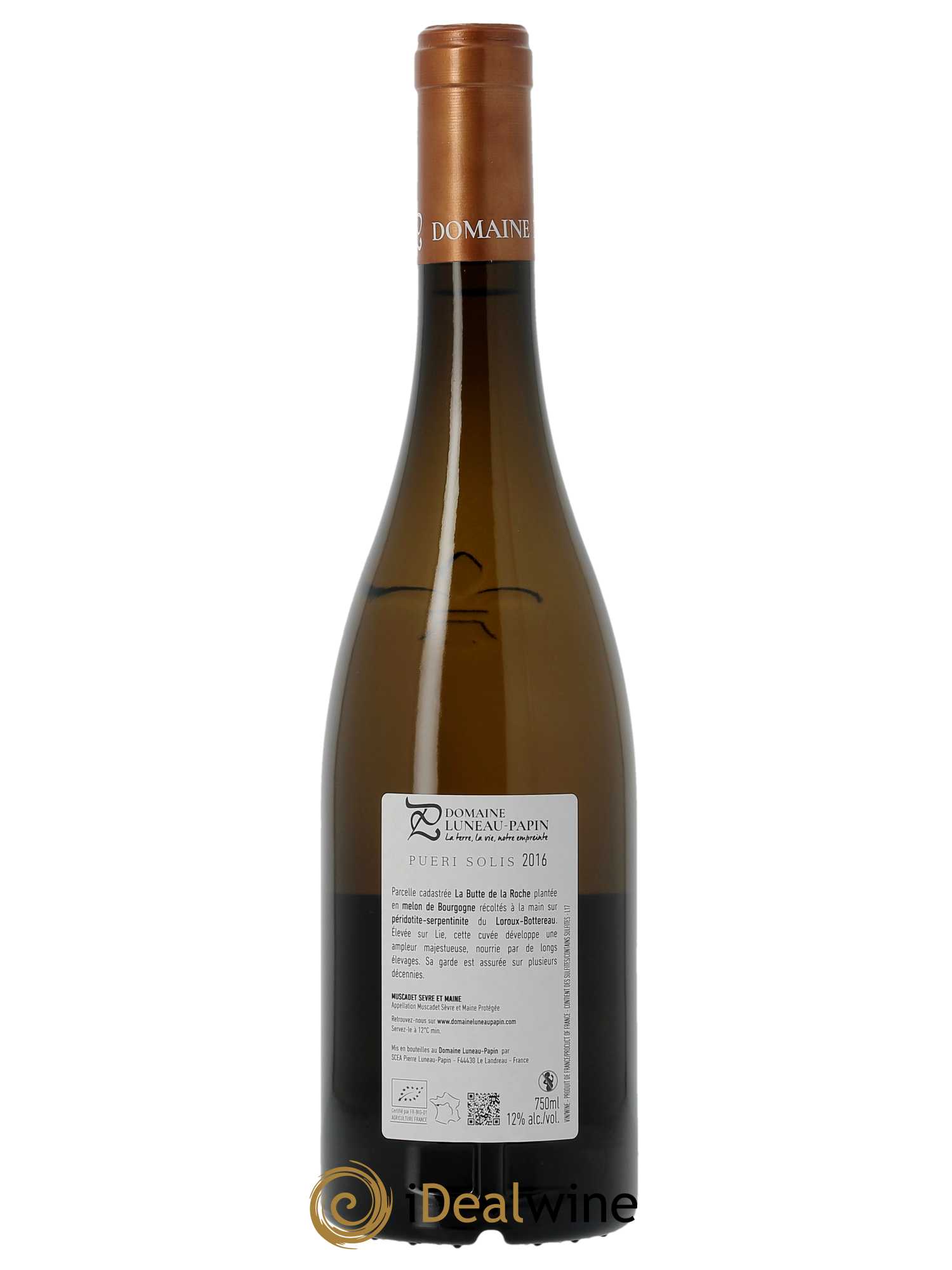 Muscadet-Sèvre-et-Maine Pueri Solis Luneau-Papin 2016 - Lot de 1 bouteille - 1