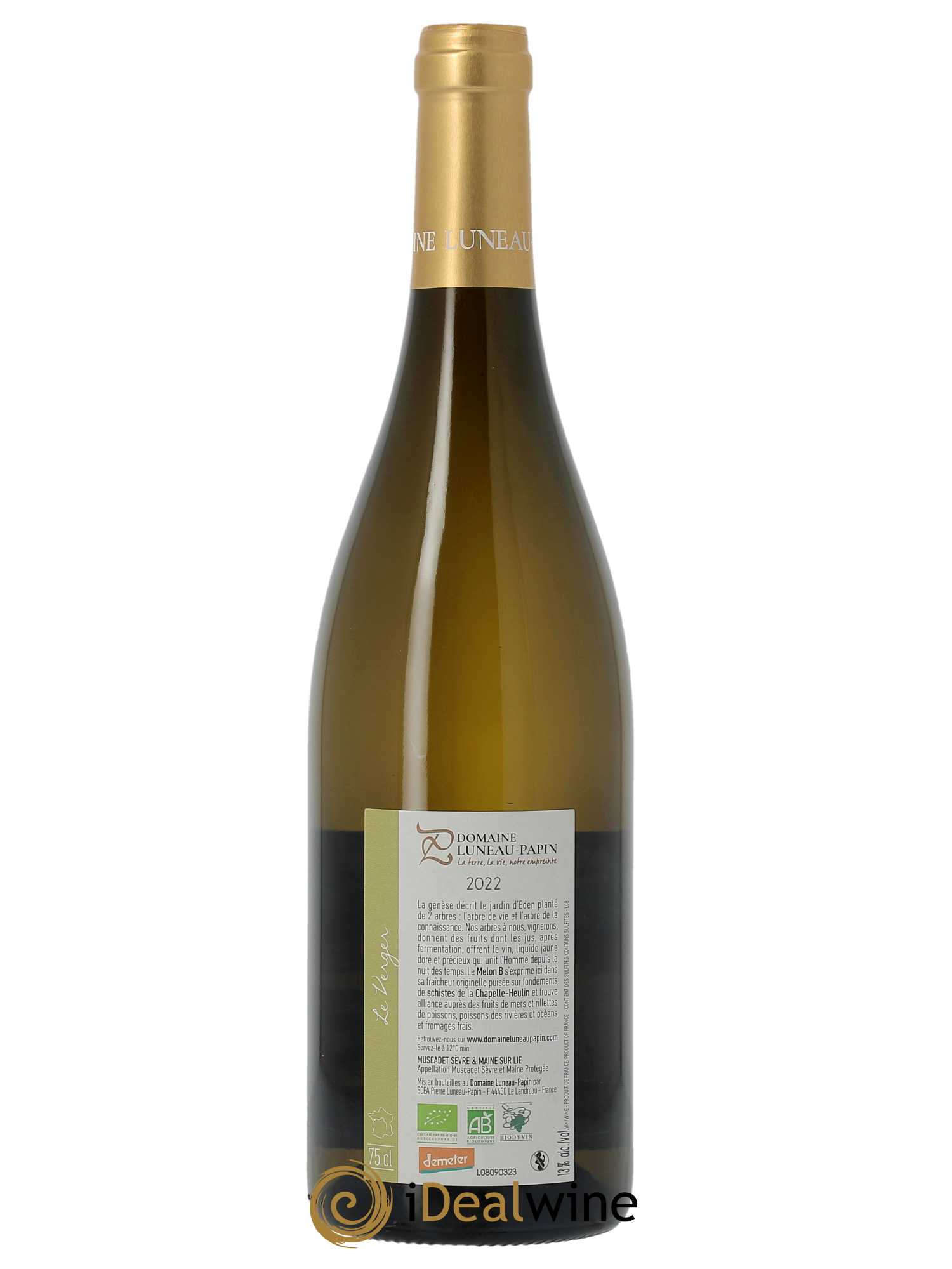 Muscadet-Sèvre-et-Maine Le Verger Luneau-Papin 2022 - Lot of 1 bottle - 1