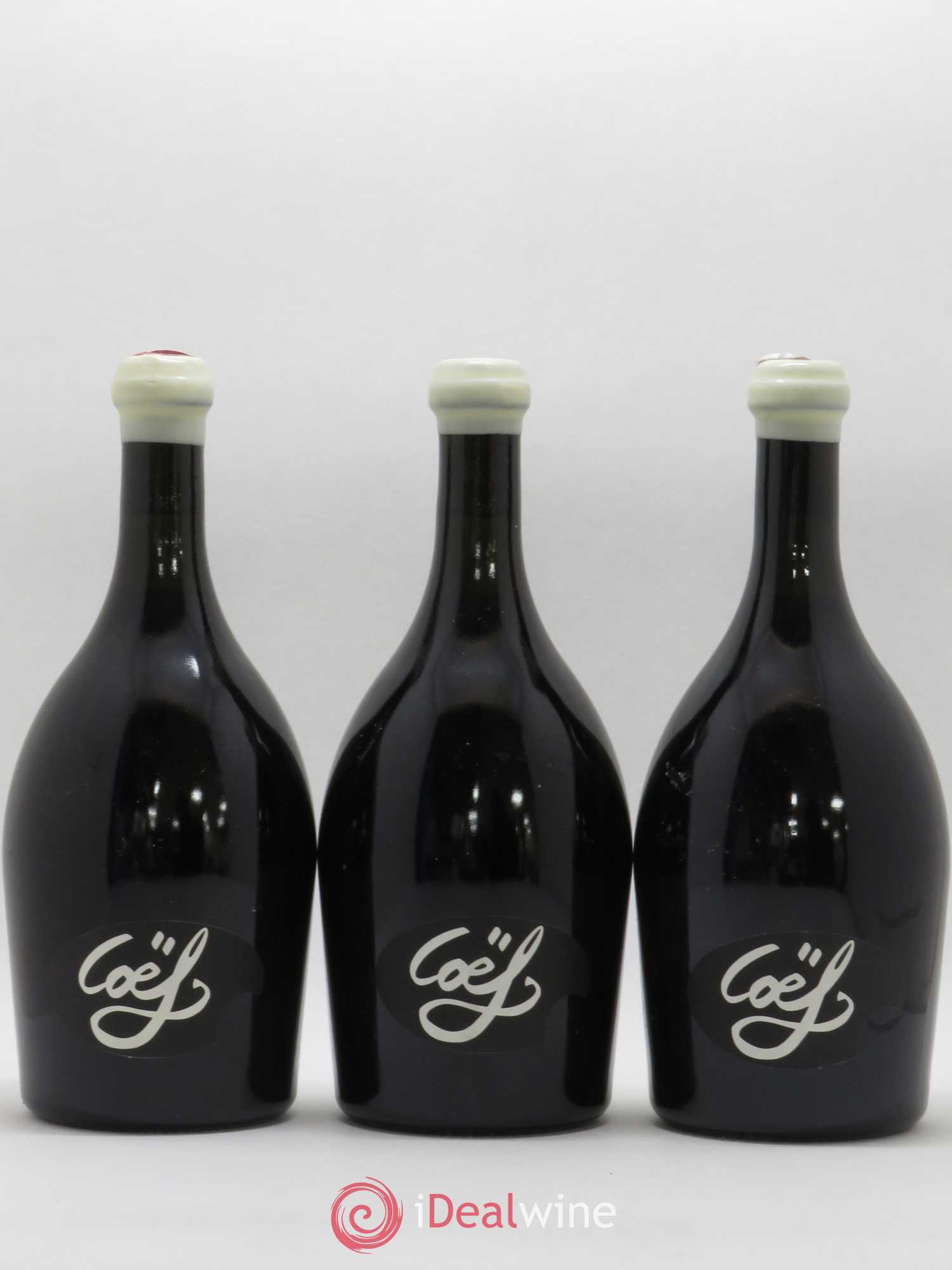 Saint-Nicolas de Bourgueil Cuvée Coef Sebastien David 2015 - Lot de 3 bouteilles - 0
