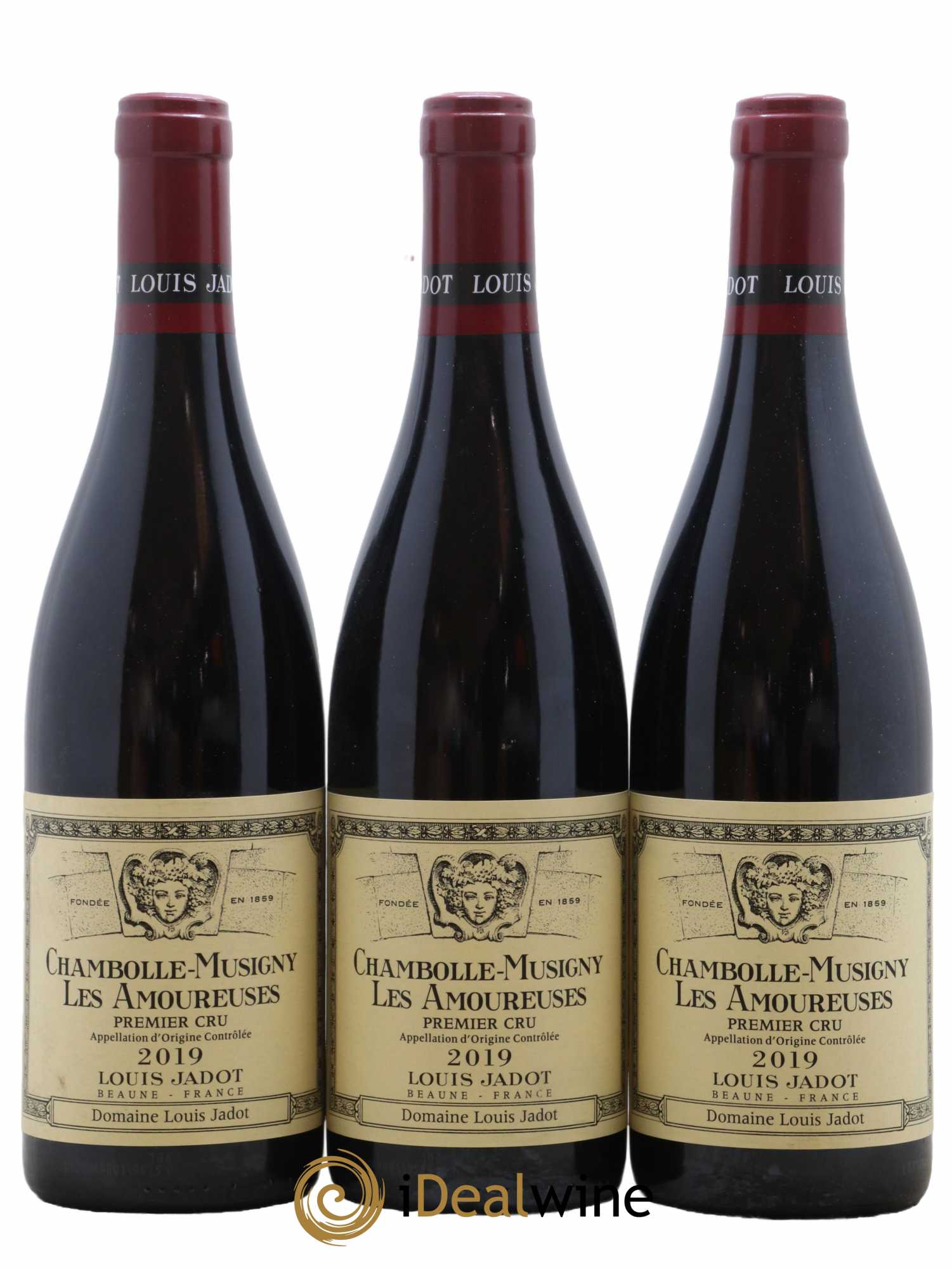 Chambolle-Musigny 1er Cru Les Amoureuses Domaine Louis Jadot 2019 - Posten von 6 Flaschen - 1