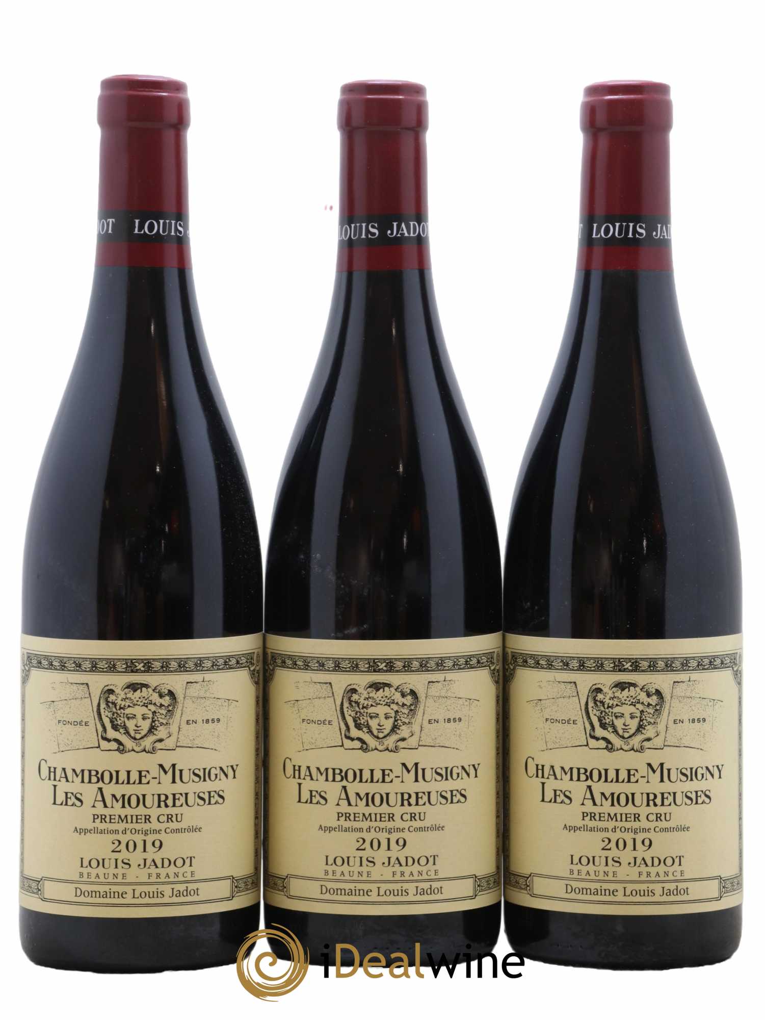 Chambolle-Musigny 1er Cru Les Amoureuses Domaine Louis Jadot 2019 - Posten von 6 Flaschen - 3